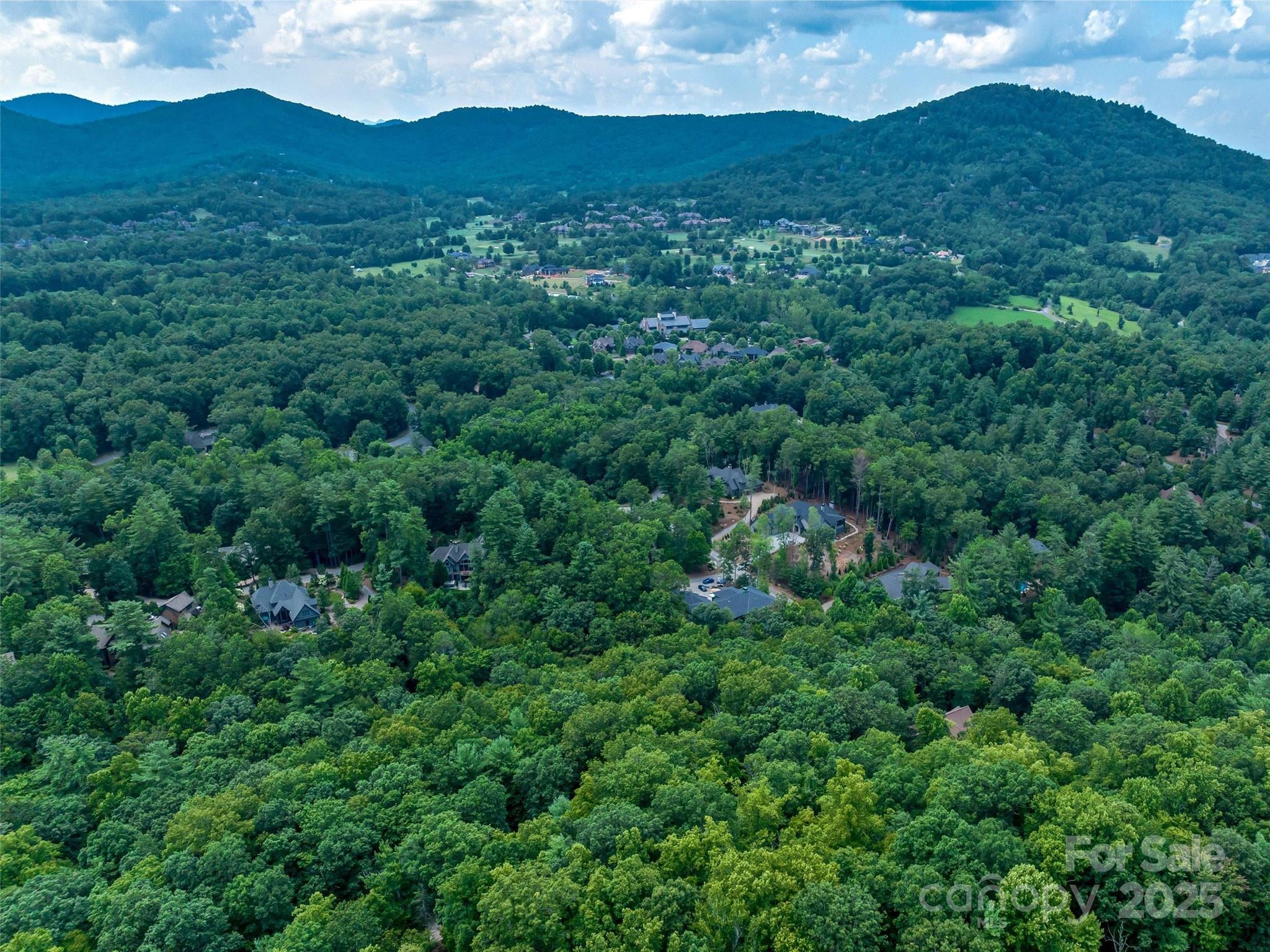 36 Dividing Ridge Trail 5 Property Photo 6