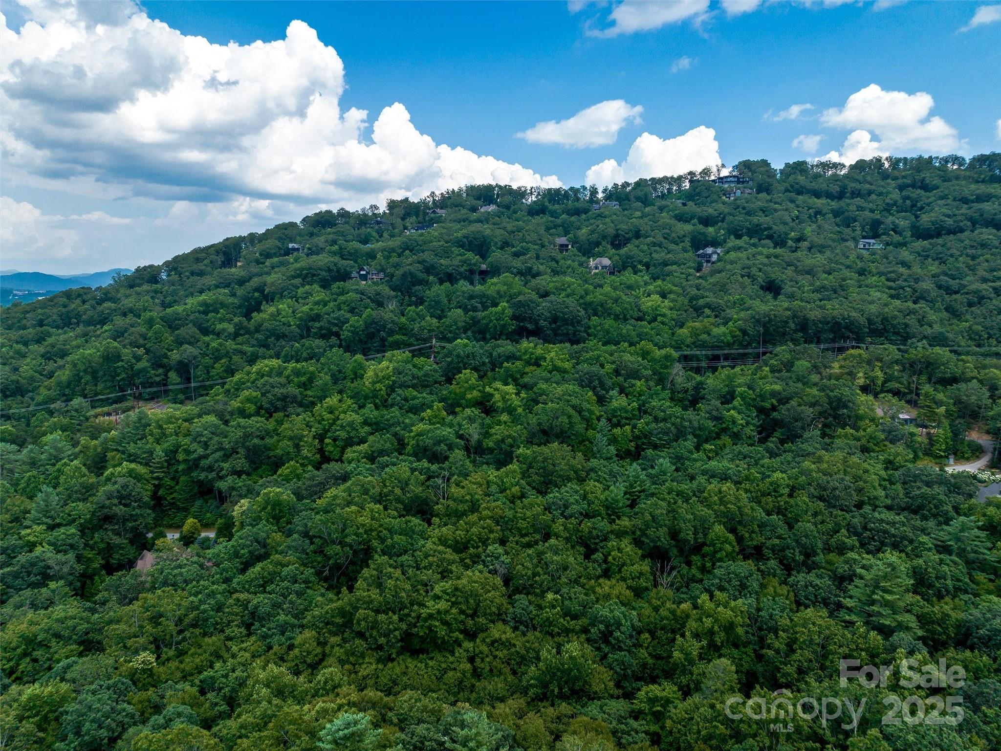 36 Dividing Ridge Trail 5 Property Photo 10