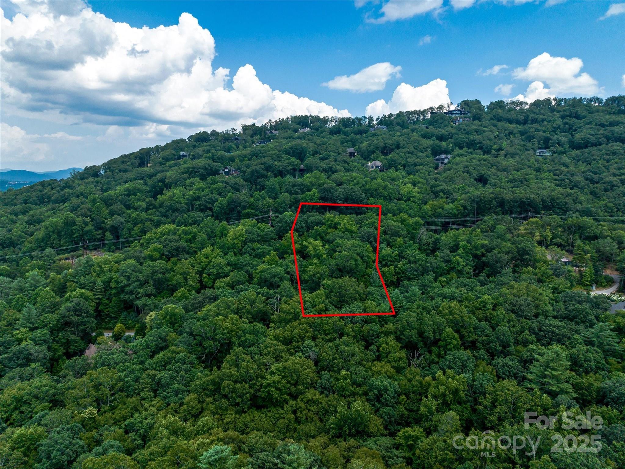 36 Dividing Ridge Trail 5 Property Photo 11