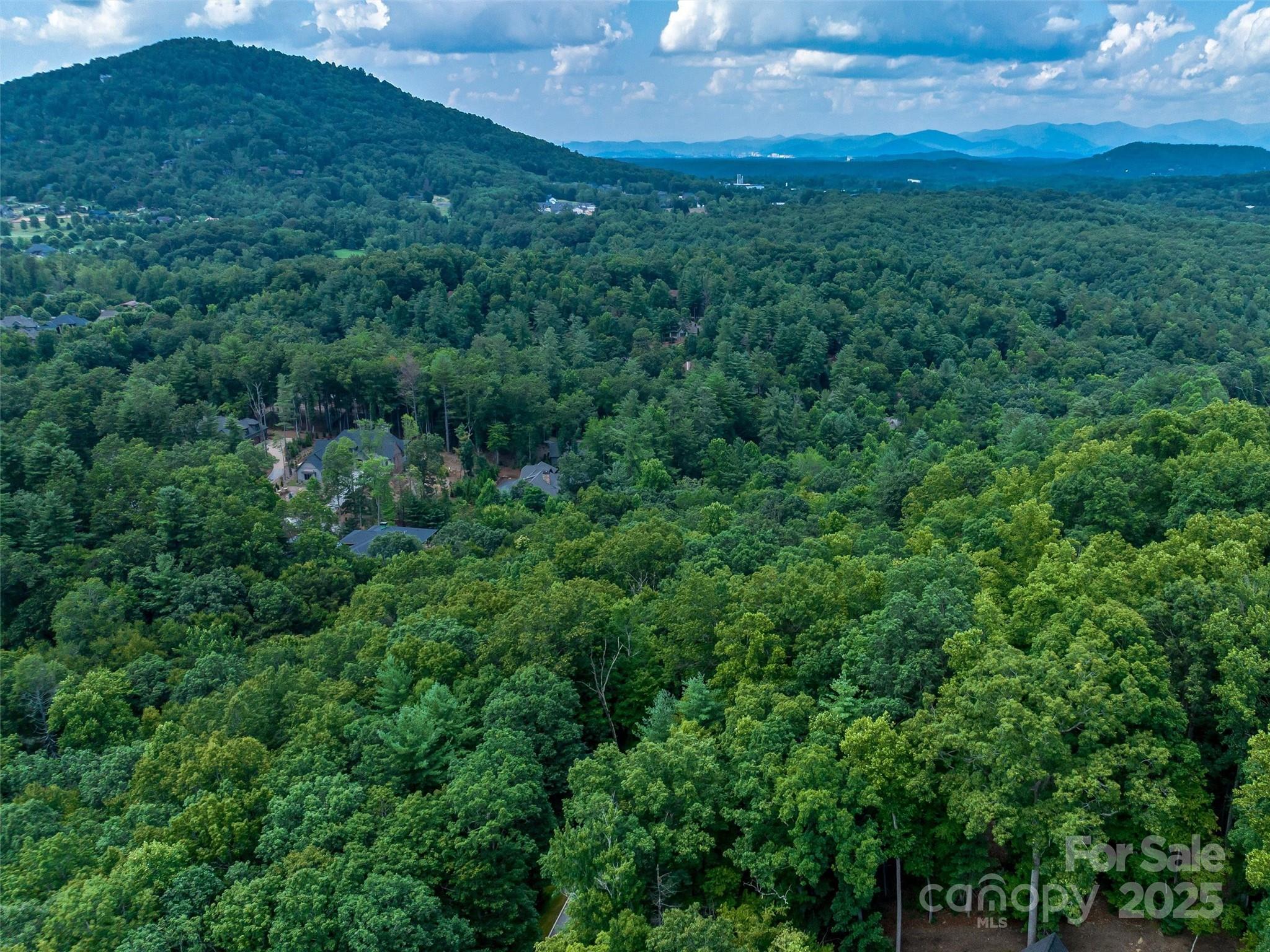 36 Dividing Ridge Trail 5 Property Photo 12