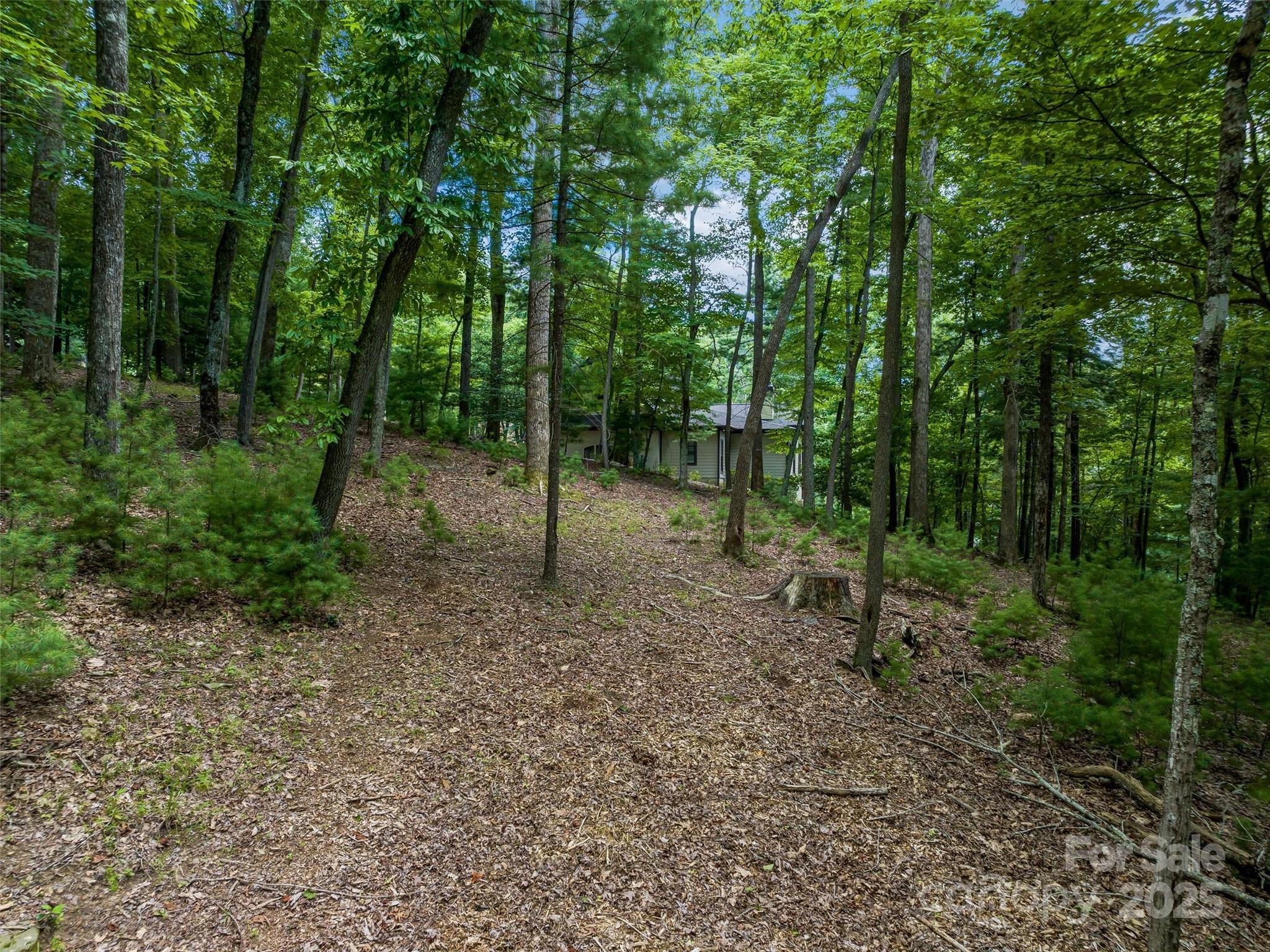 36 Dividing Ridge Trail 5 Property Photo 14