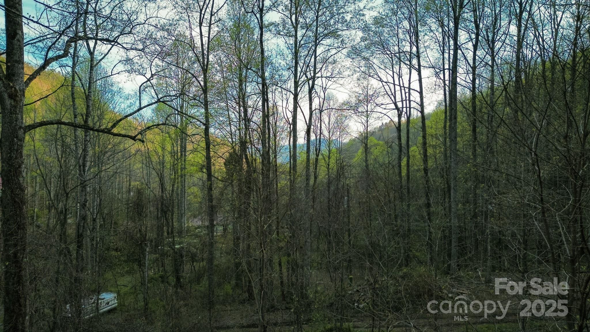 136 Stonewall Road Property Photo 22