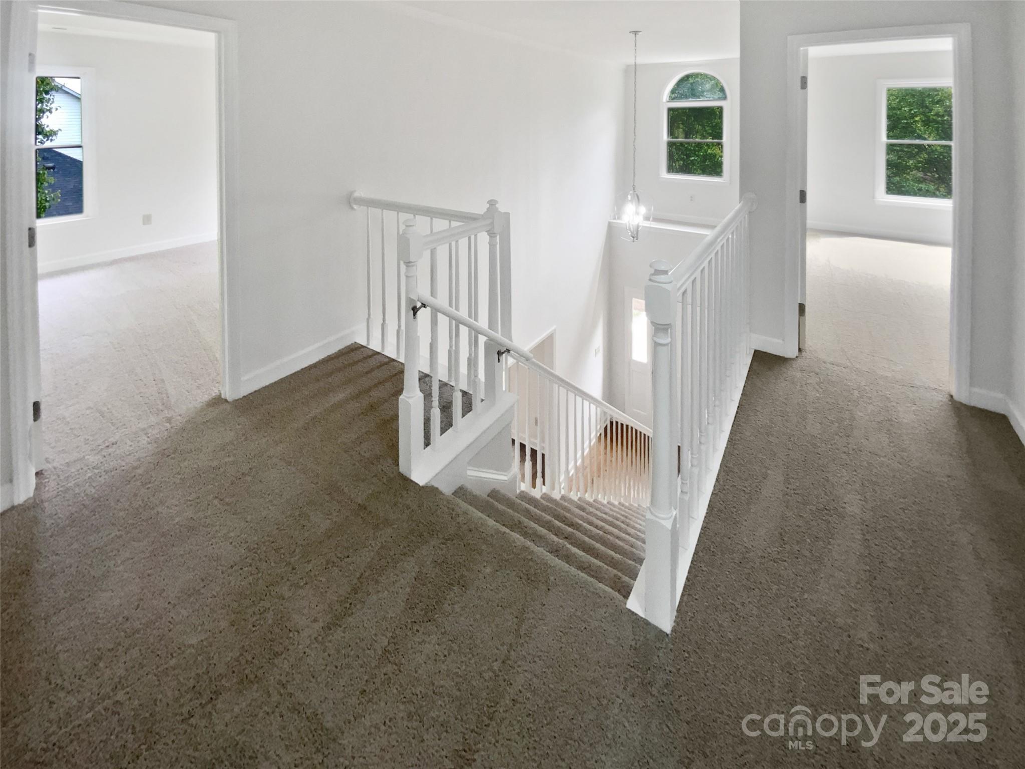 1121 Setter Lane Property Photo 21