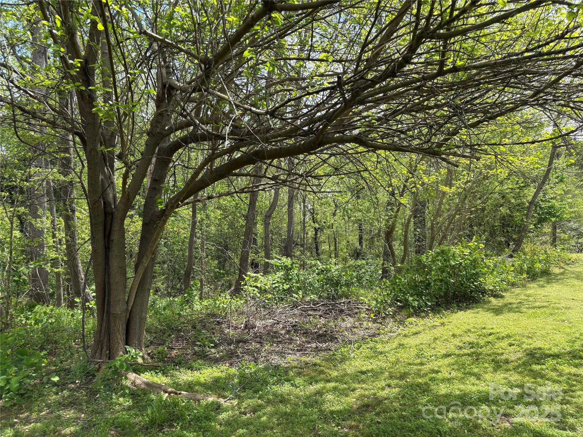 3.96 Acres 14th Avenue Property Photo