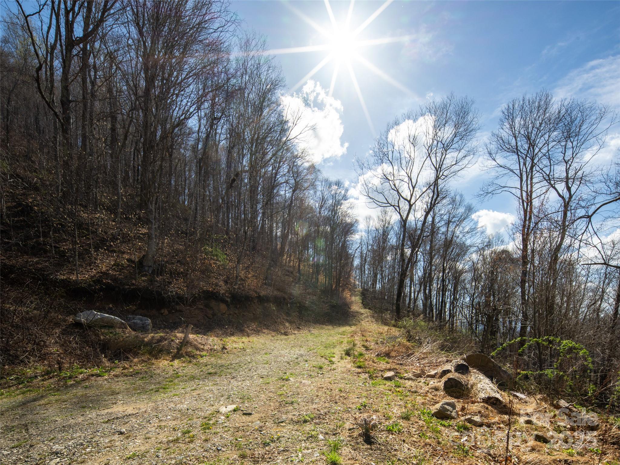 31 Acres Scronce Creek Road Property Photo 2