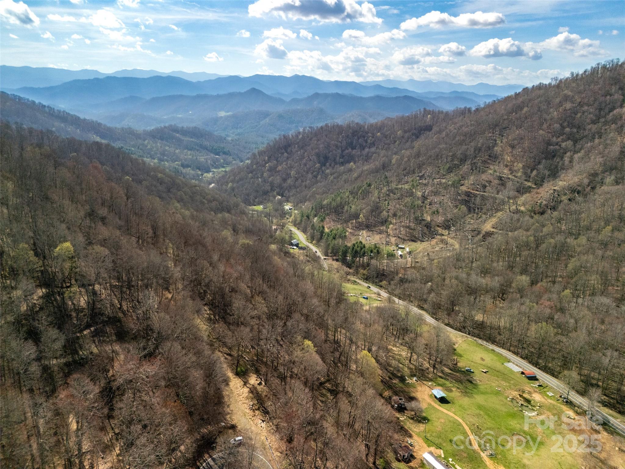 31 Acres Scronce Creek Road Property Photo 3