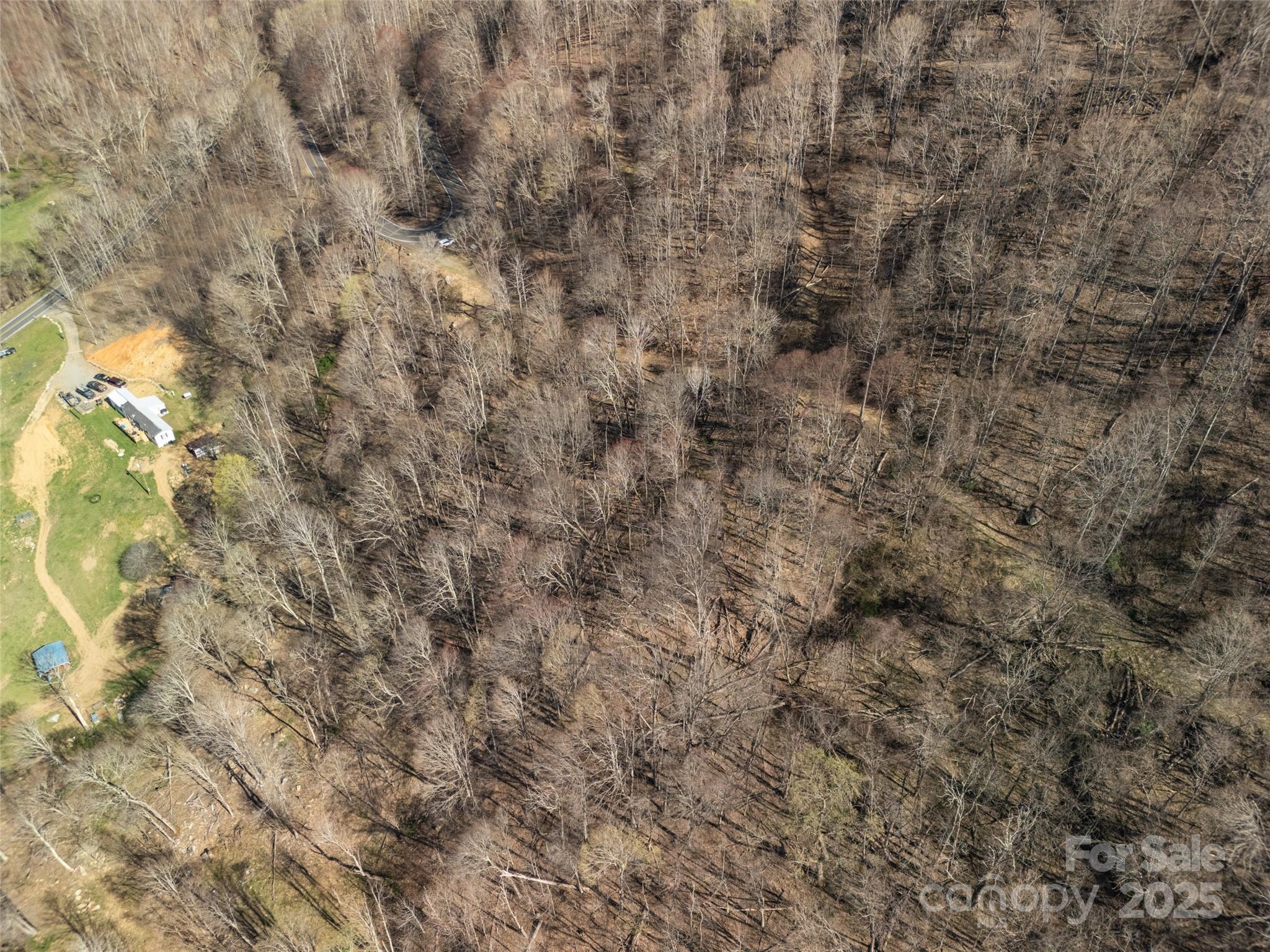 31 Acres Scronce Creek Road Property Photo 5