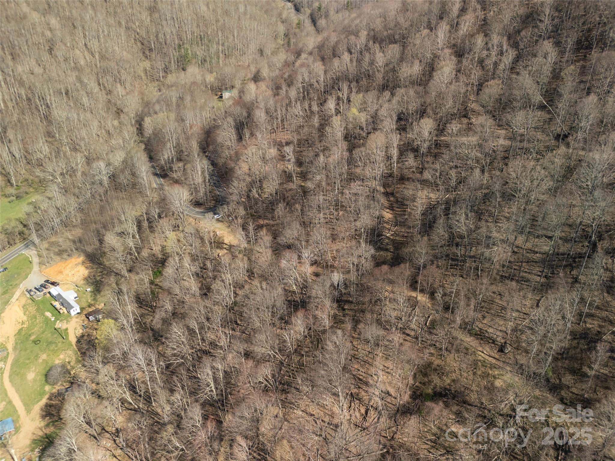 31 Acres Scronce Creek Road Property Photo 6