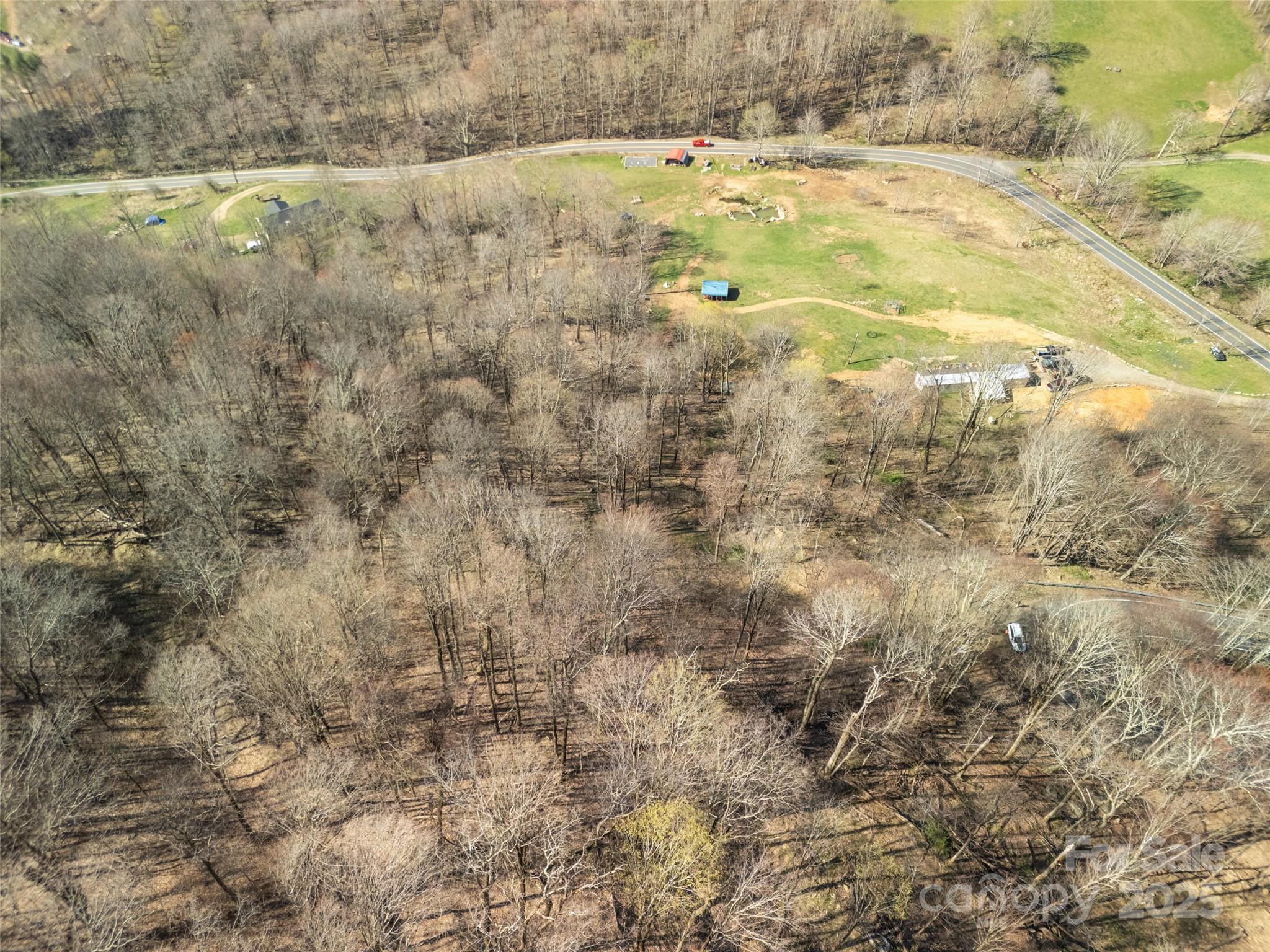 31 Acres Scronce Creek Road Property Photo 7