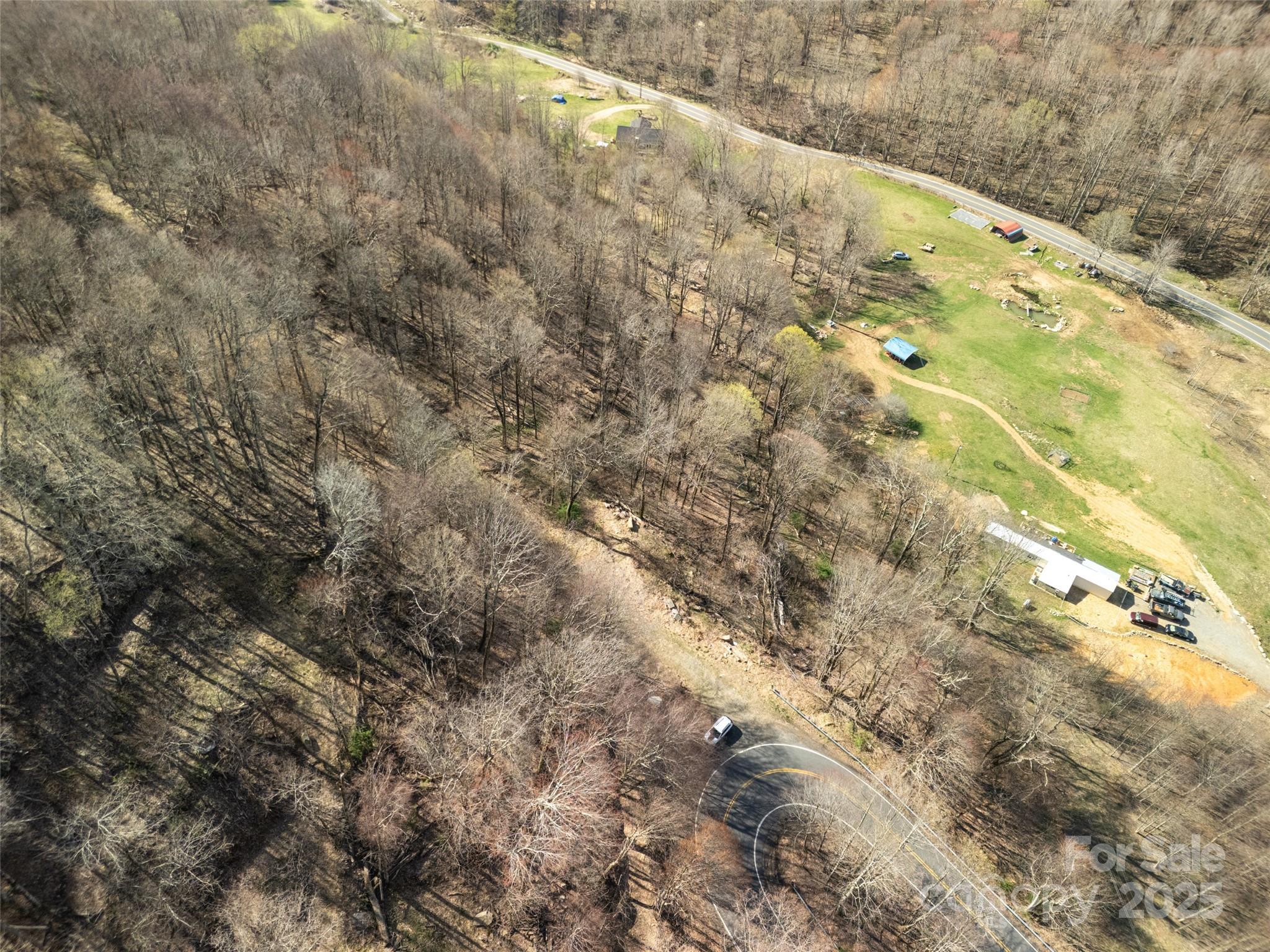 31 Acres Scronce Creek Road Property Photo 8