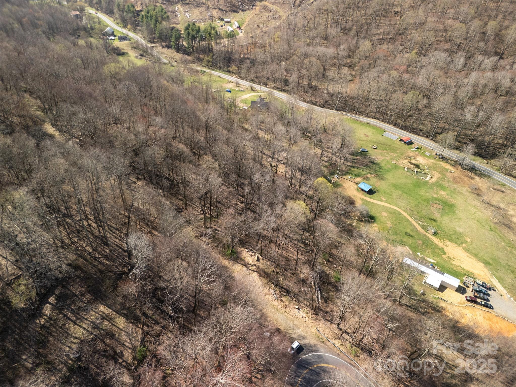 31 Acres Scronce Creek Road Property Photo 9
