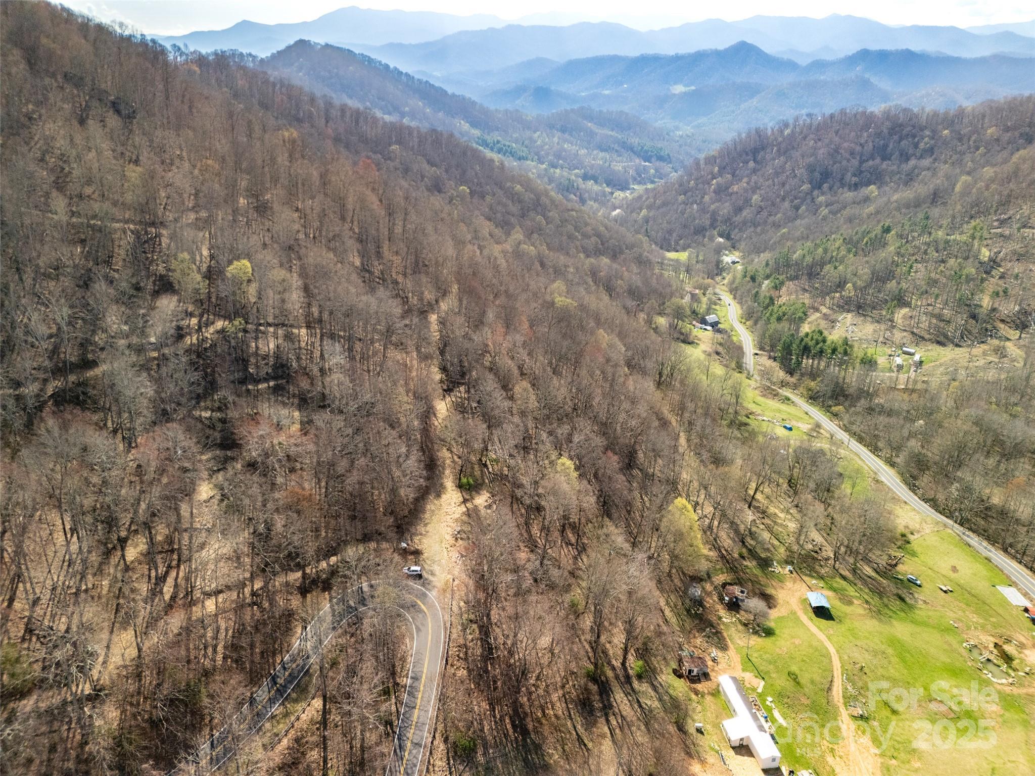 31 Acres Scronce Creek Road Property Photo 10