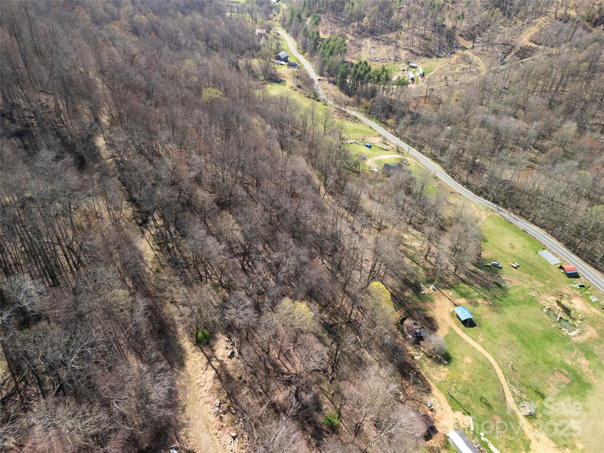 31 Acres Scronce Creek Road Property Photo 12