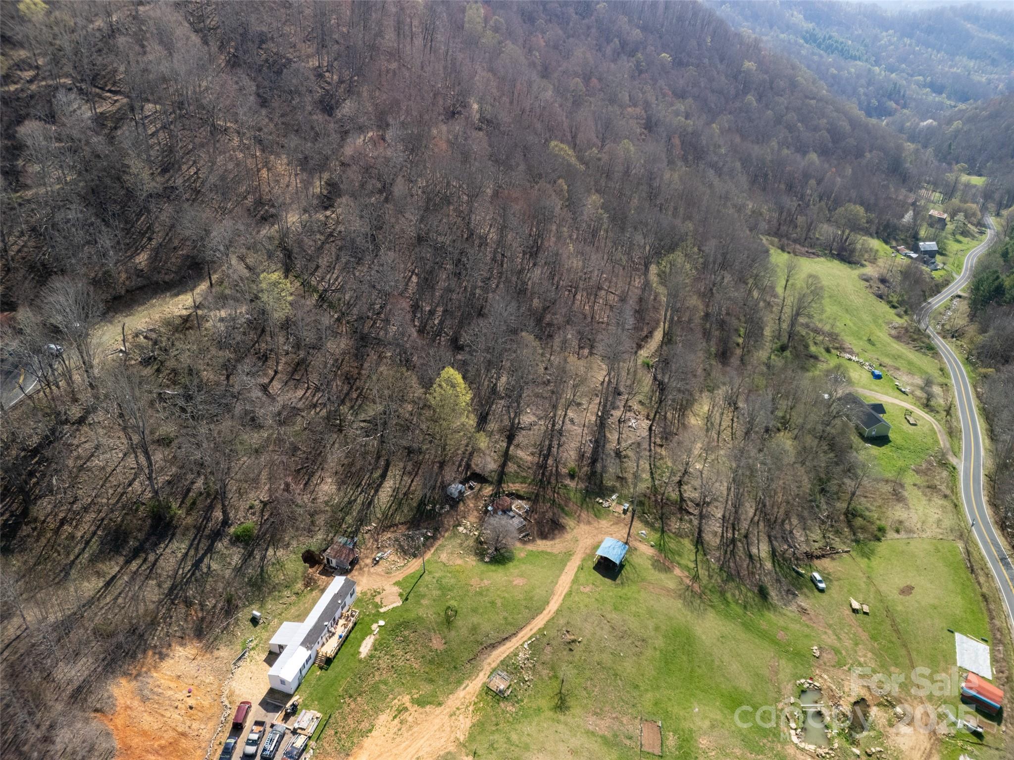 31 Acres Scronce Creek Road Property Photo 13
