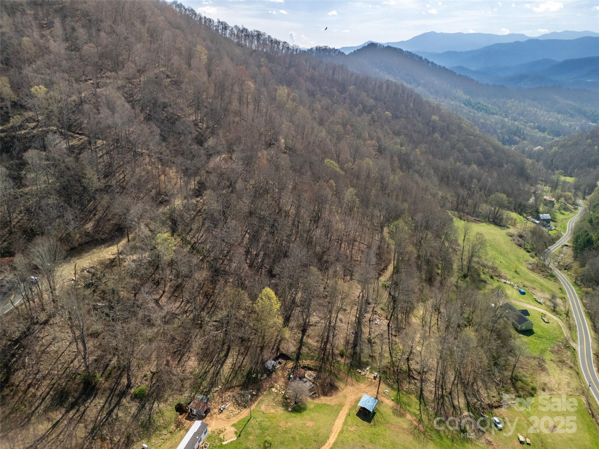 31 Acres Scronce Creek Road Property Photo 14