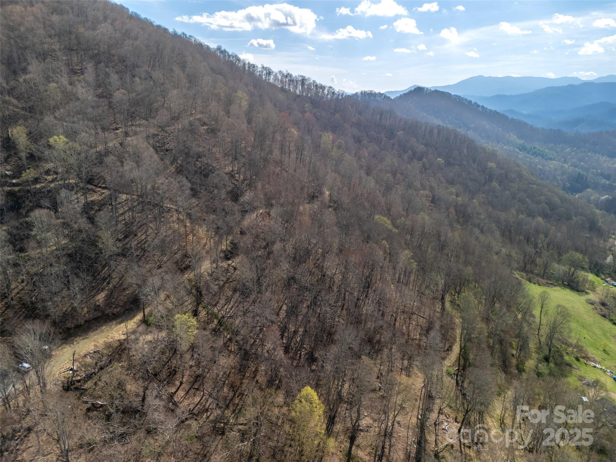 31 Acres Scronce Creek Road Property Photo 16