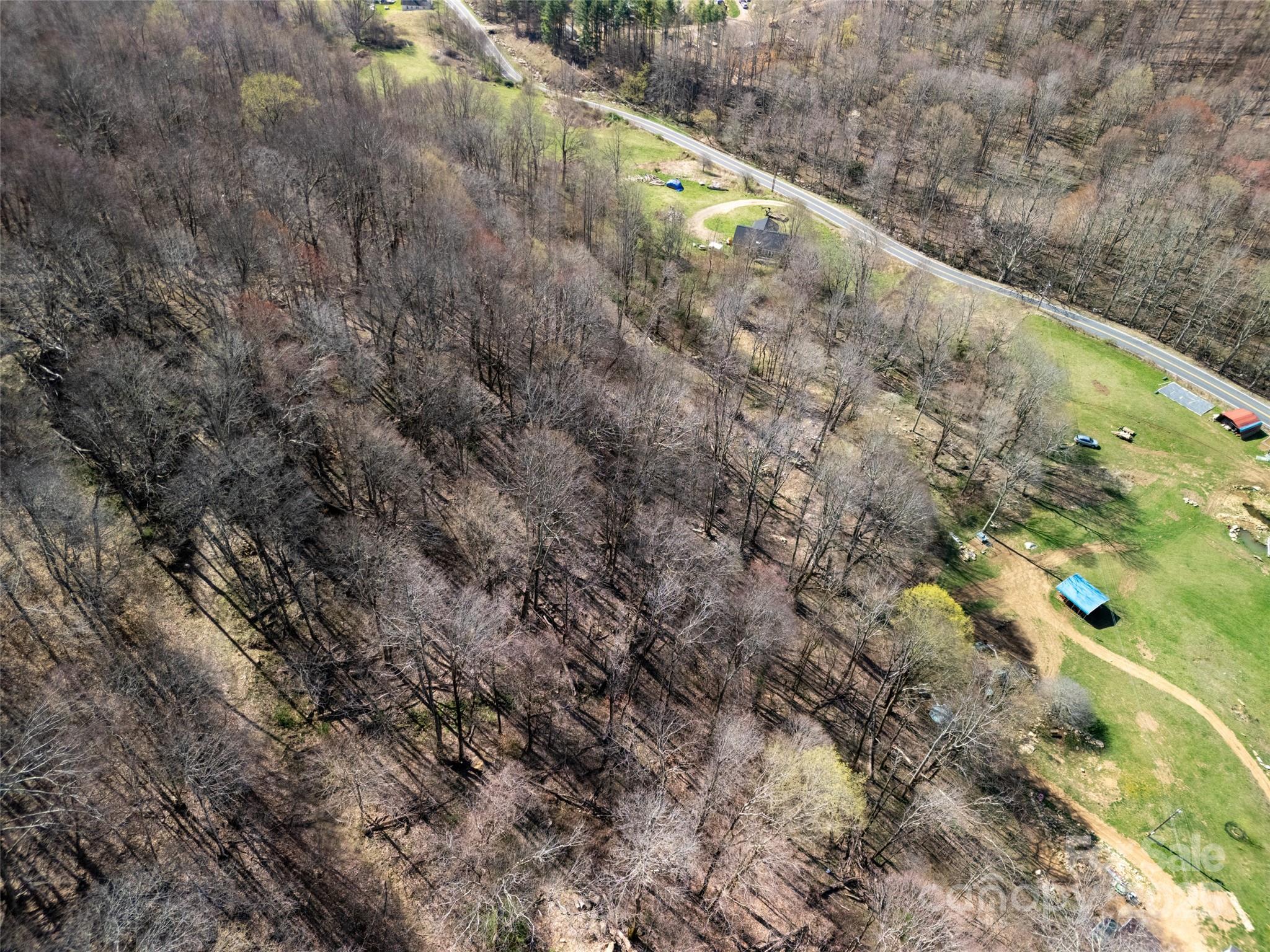 31 Acres Scronce Creek Road Property Photo 17