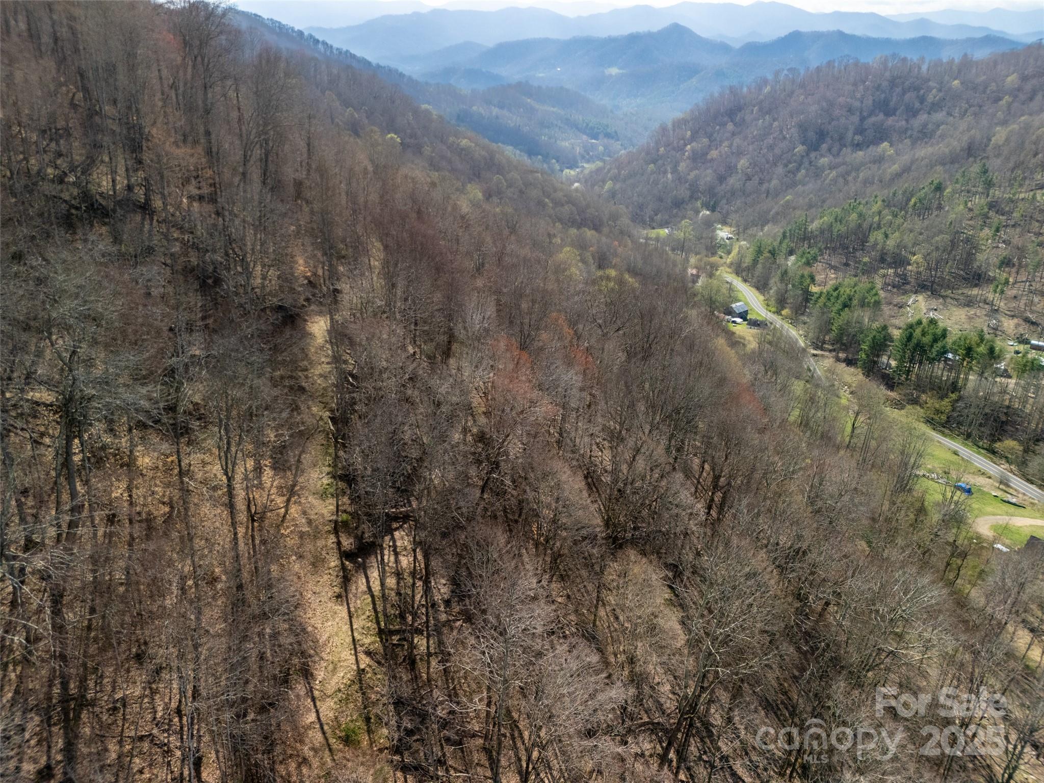 31 Acres Scronce Creek Road Property Photo 18