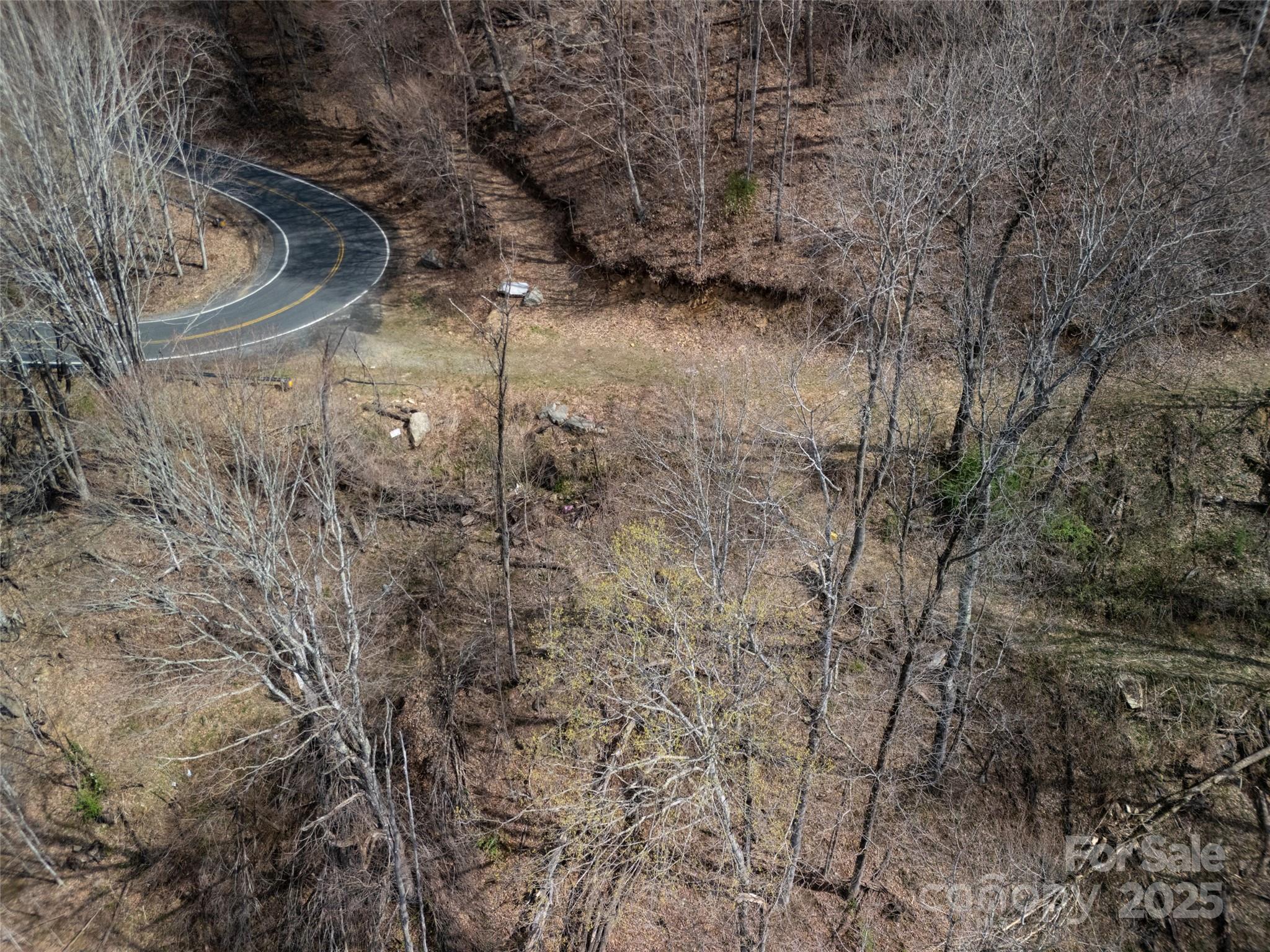 31 Acres Scronce Creek Road Property Photo 19