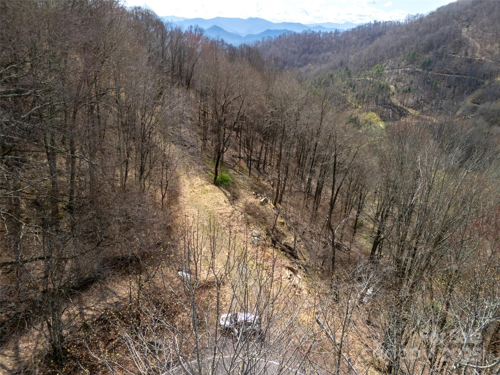 31 Acres Scronce Creek Road Property Photo 21