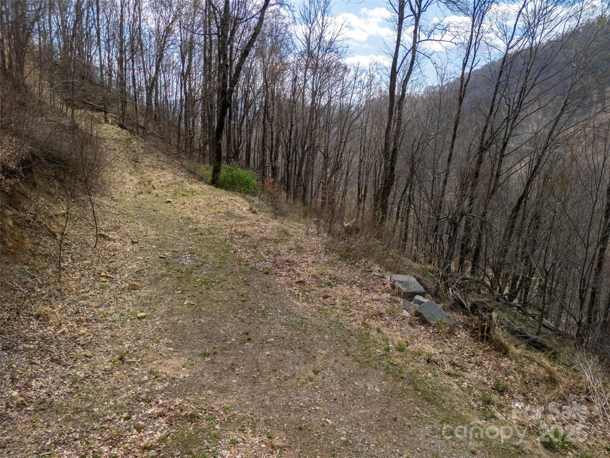 31 Acres Scronce Creek Road Property Photo 22