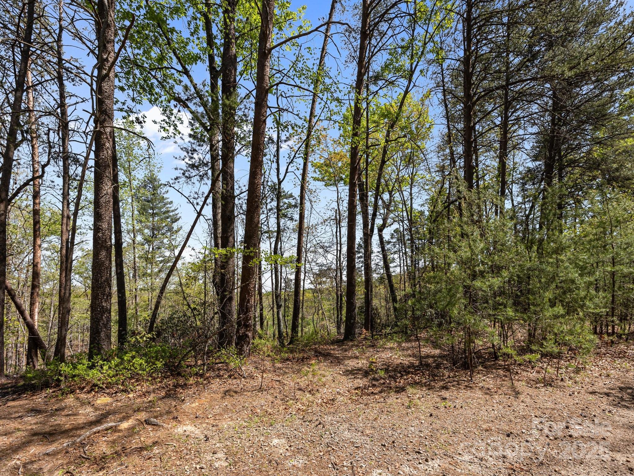 0 Hawkins Lane Property Photo 4