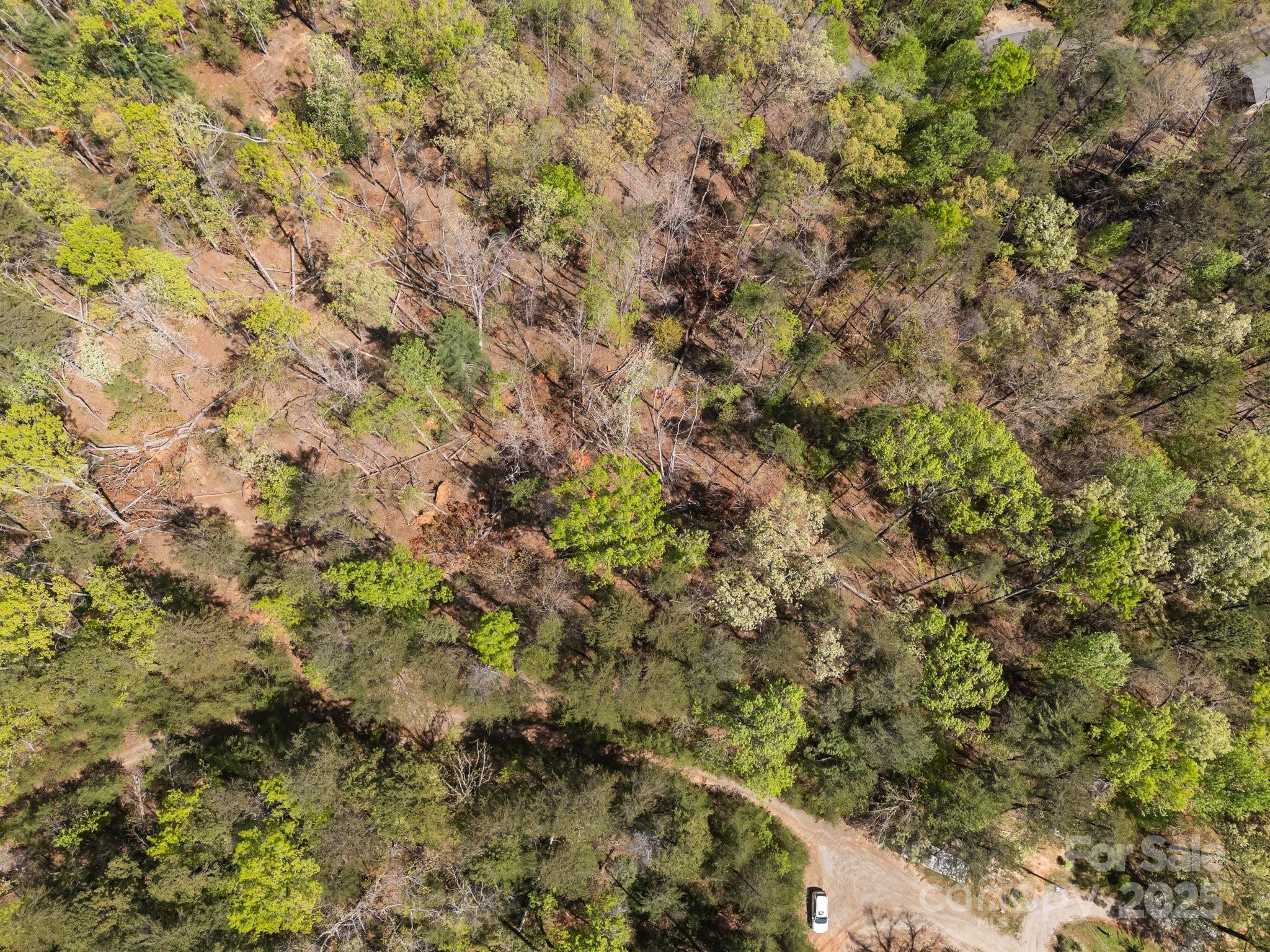 0 Hawkins Lane Property Photo 8