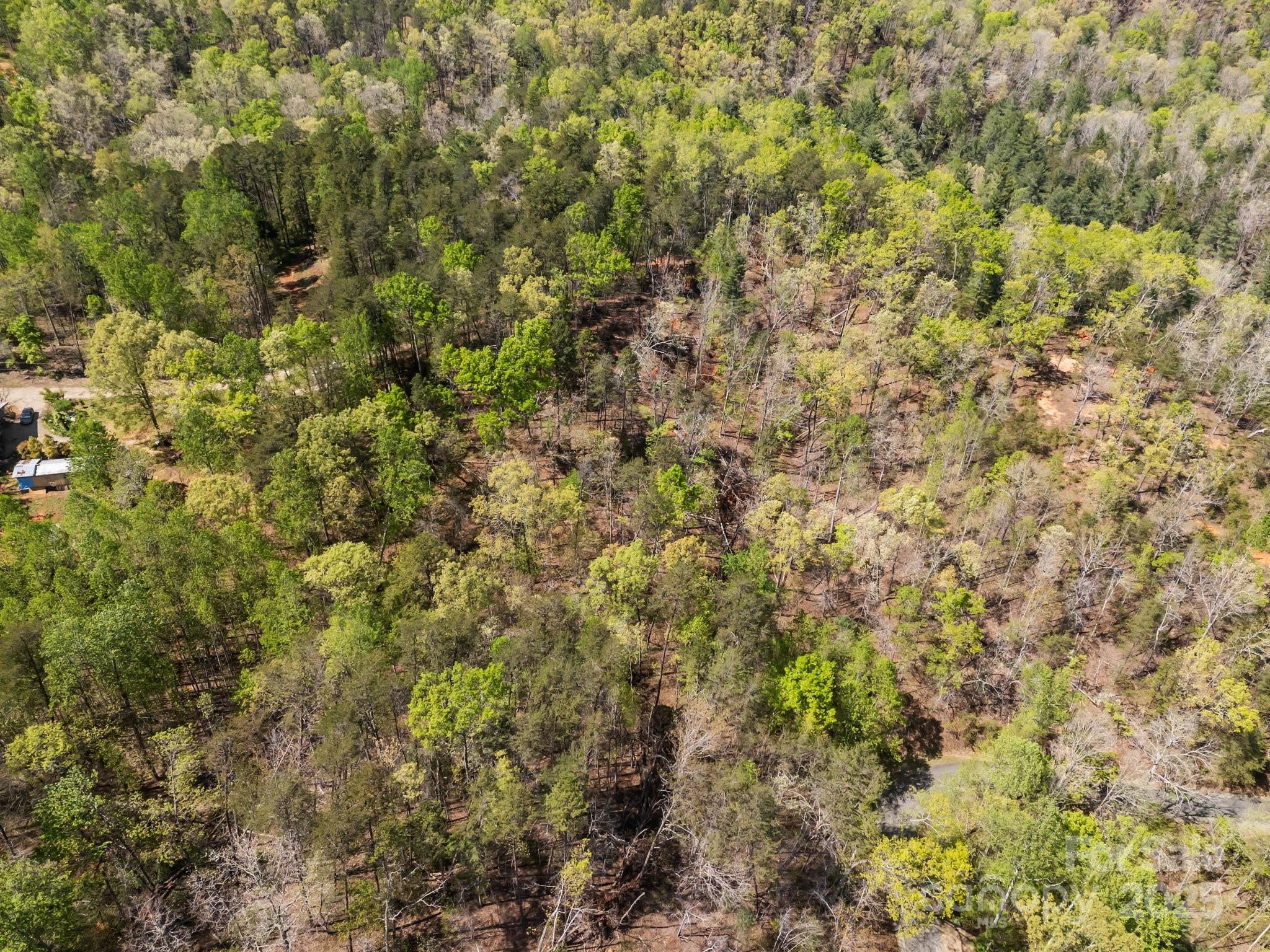 0 Hawkins Lane Property Photo 14