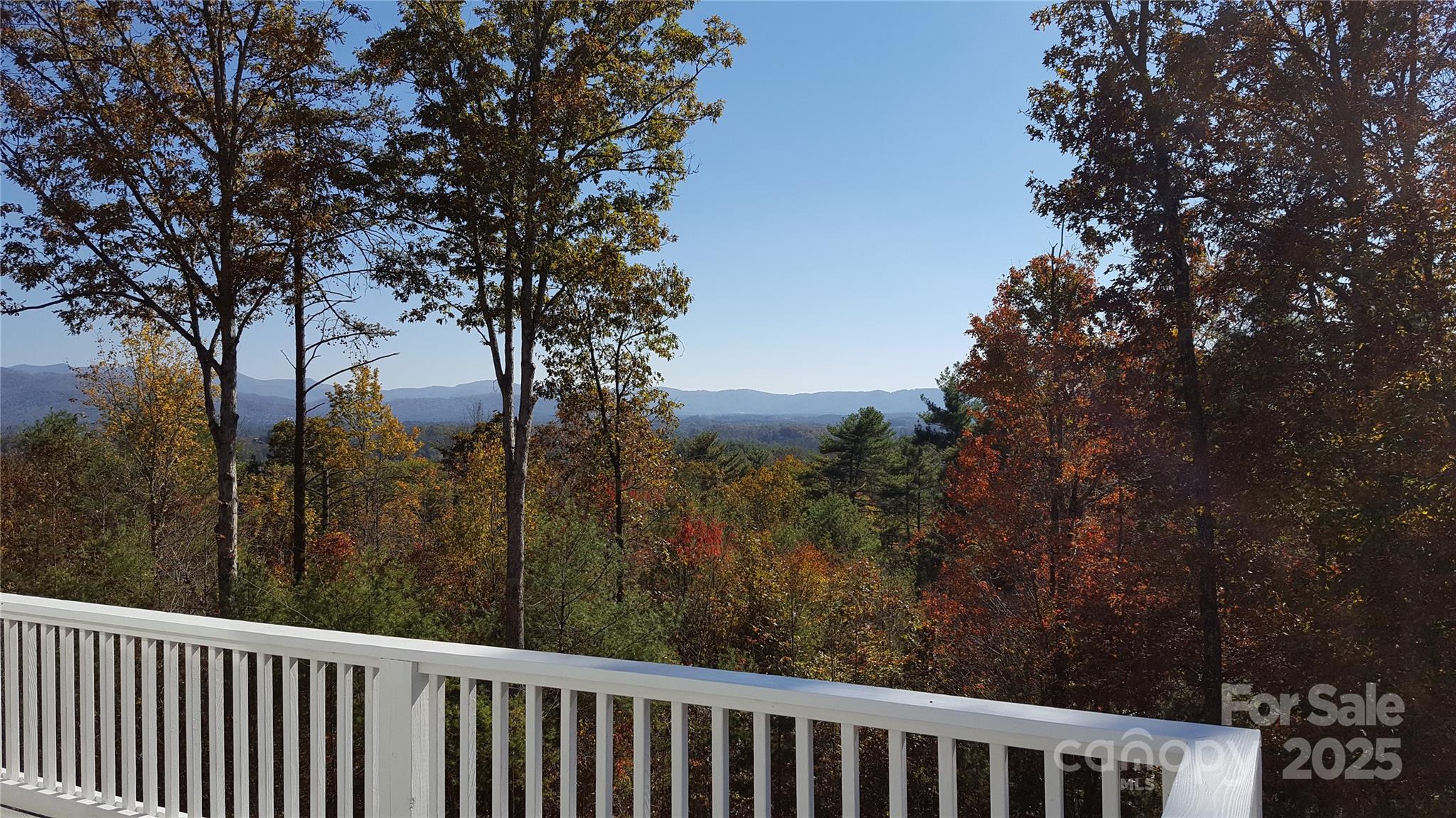 61 Buckle Ridge Property Photo