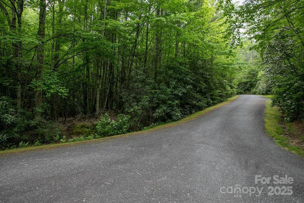 Lt 306 Old Spring Road 306 Property Photo 12