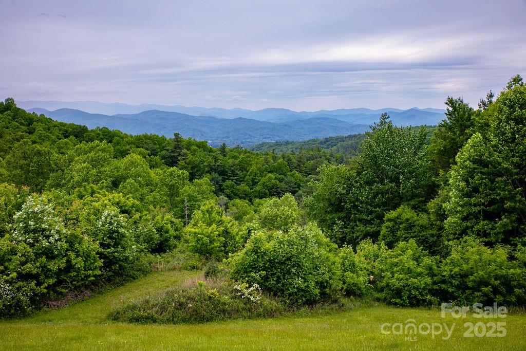 Lt 306 Old Spring Road 306 Property Photo 15