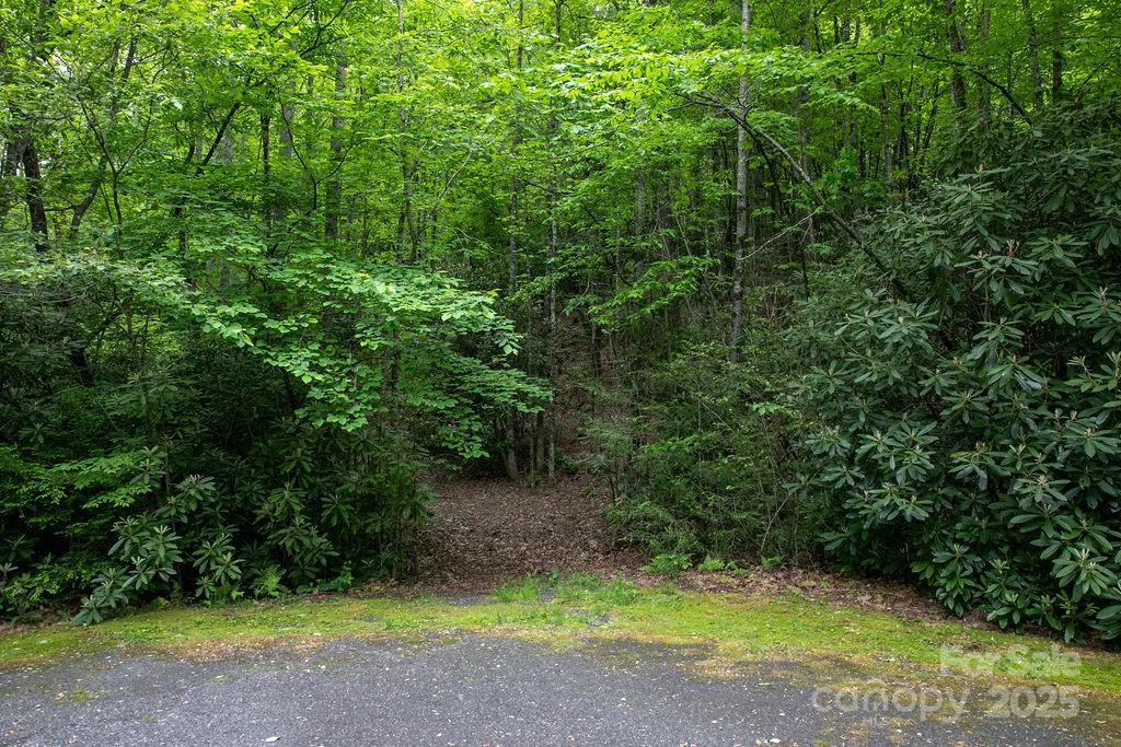 Lt 306 Old Spring Road 306 Property Photo 18