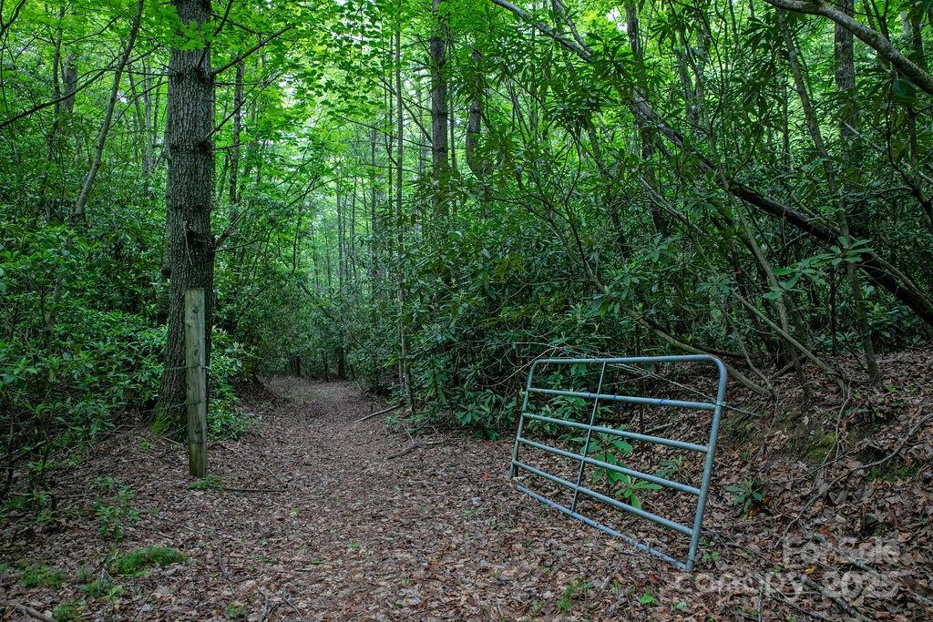 Lt 306 Old Spring Road 306 Property Photo 19
