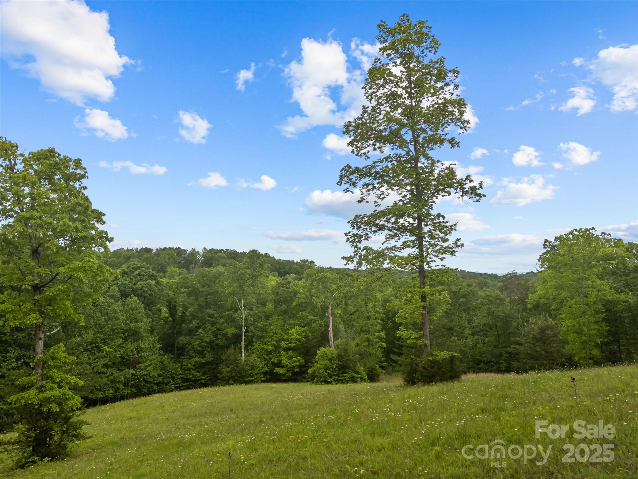 0000 S County Line Road Property Photo 3