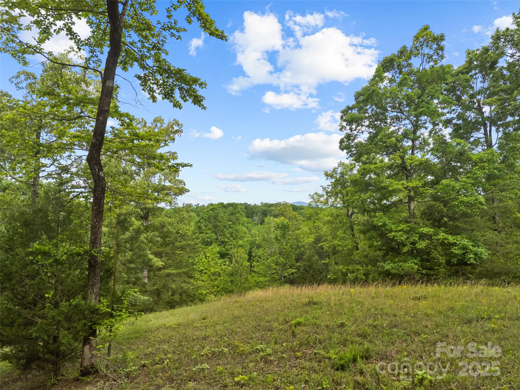 0000 S County Line Road Property Photo 4