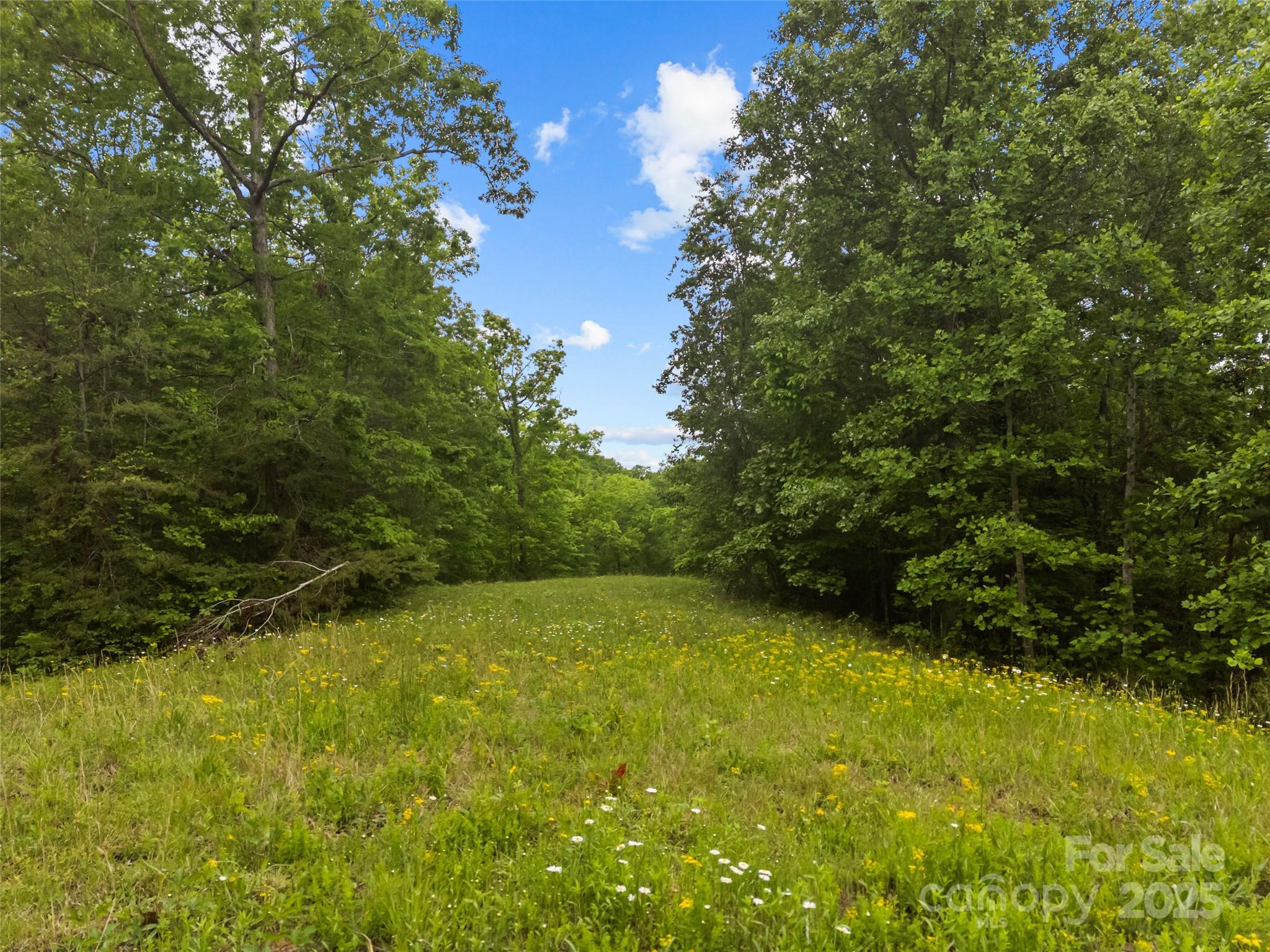 0000 S County Line Road Property Photo 7