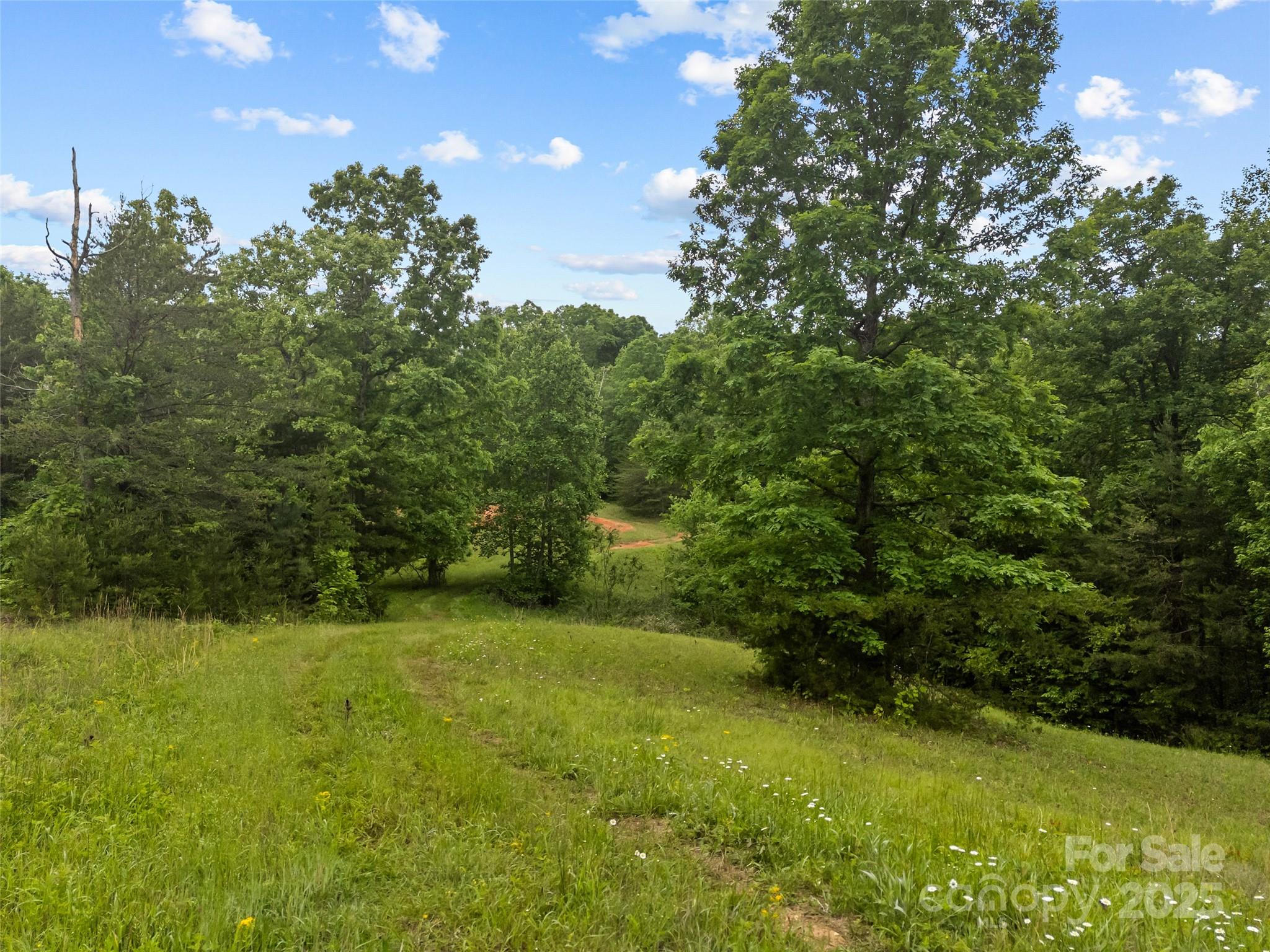 0000 S County Line Road Property Photo 11