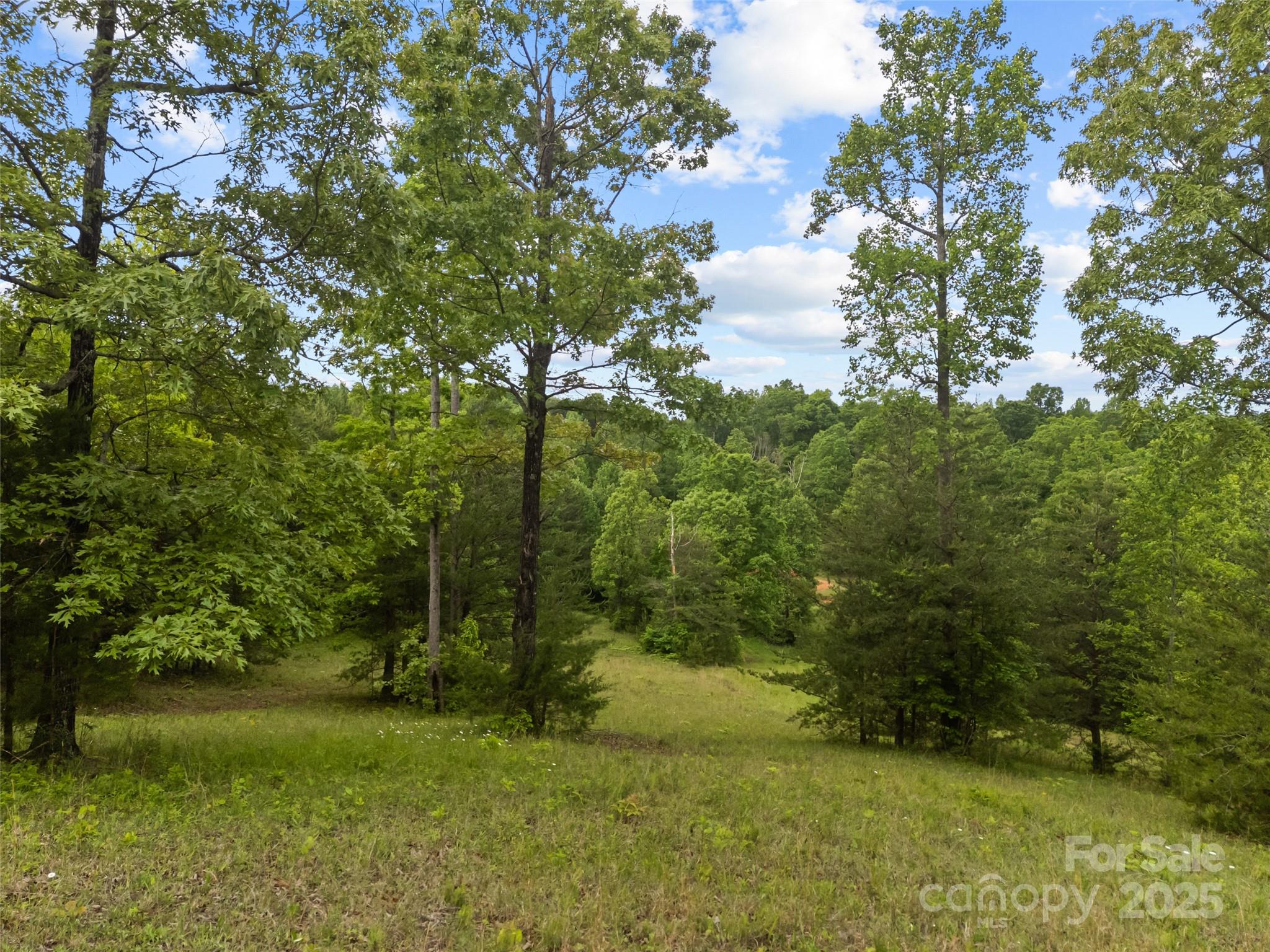 0000 S County Line Road Property Photo 14