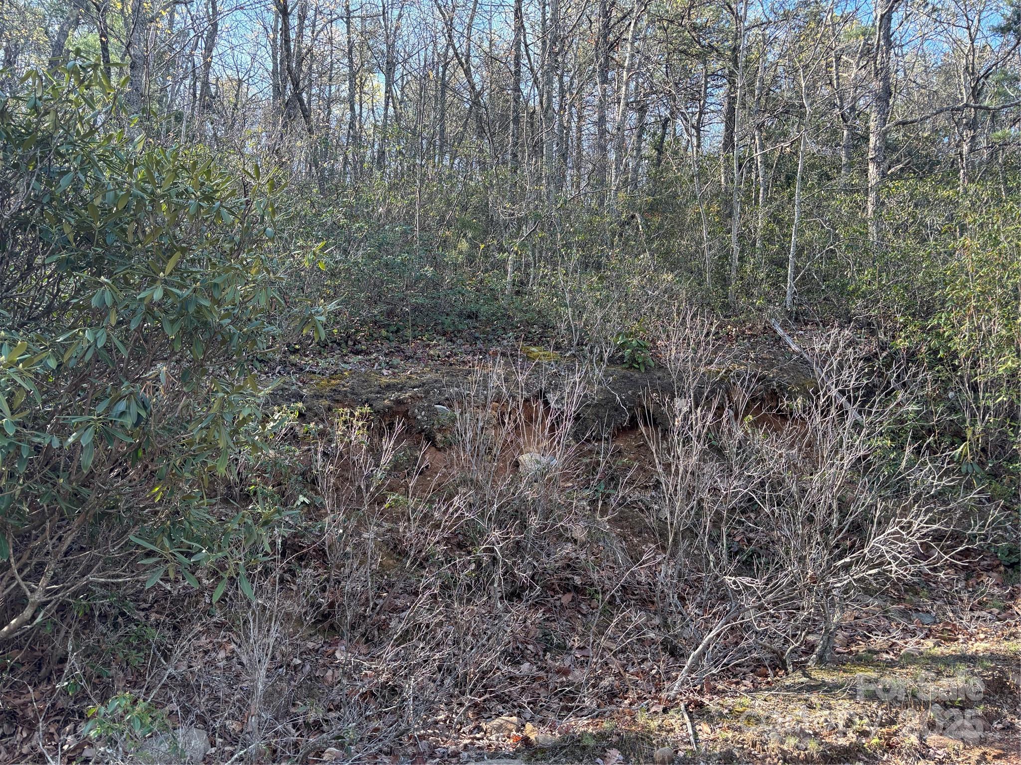 00 Kathy Lake Drive 24/25 Property Photo 6