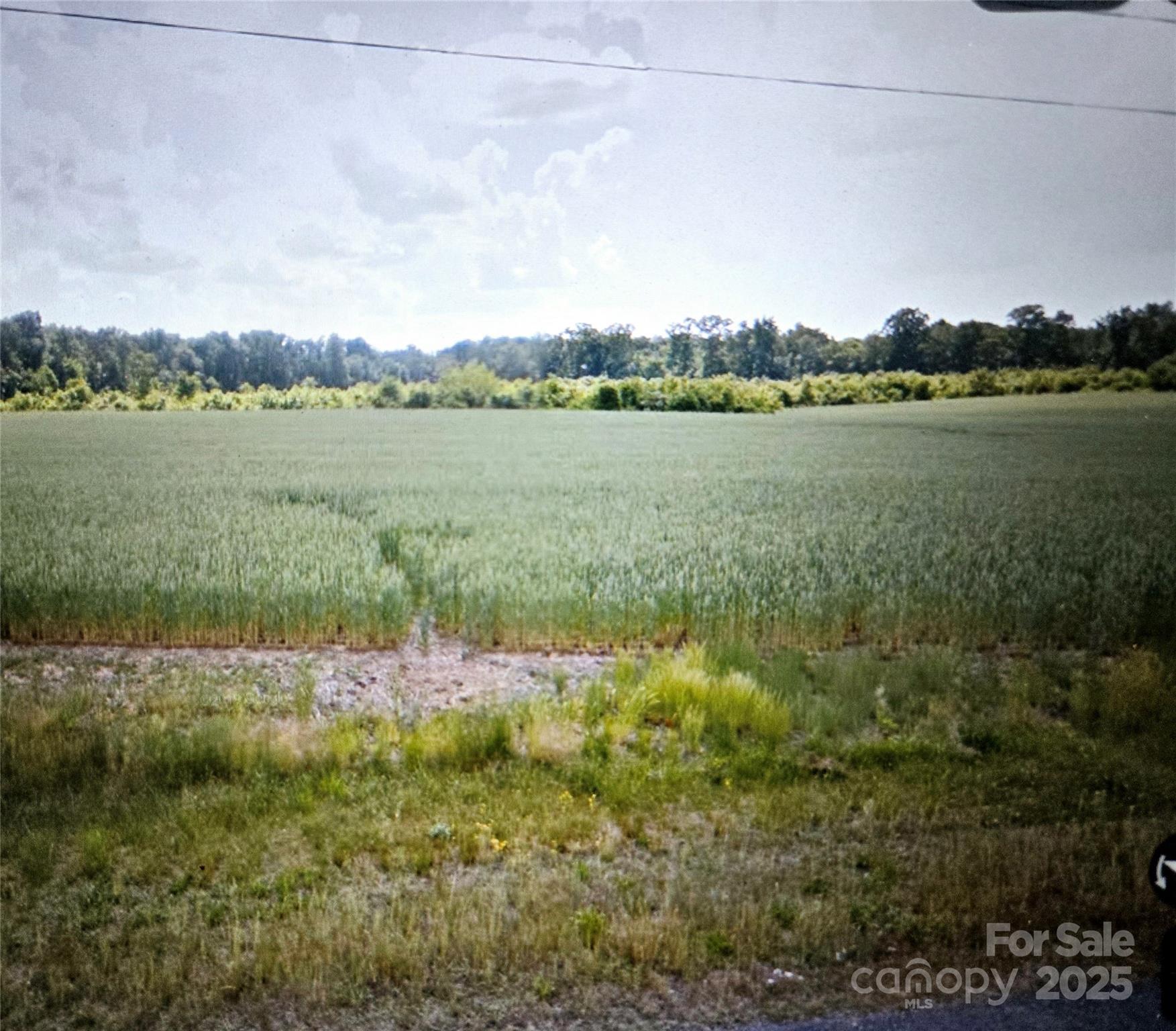 000 Winchester Road 2 Property Photo 6