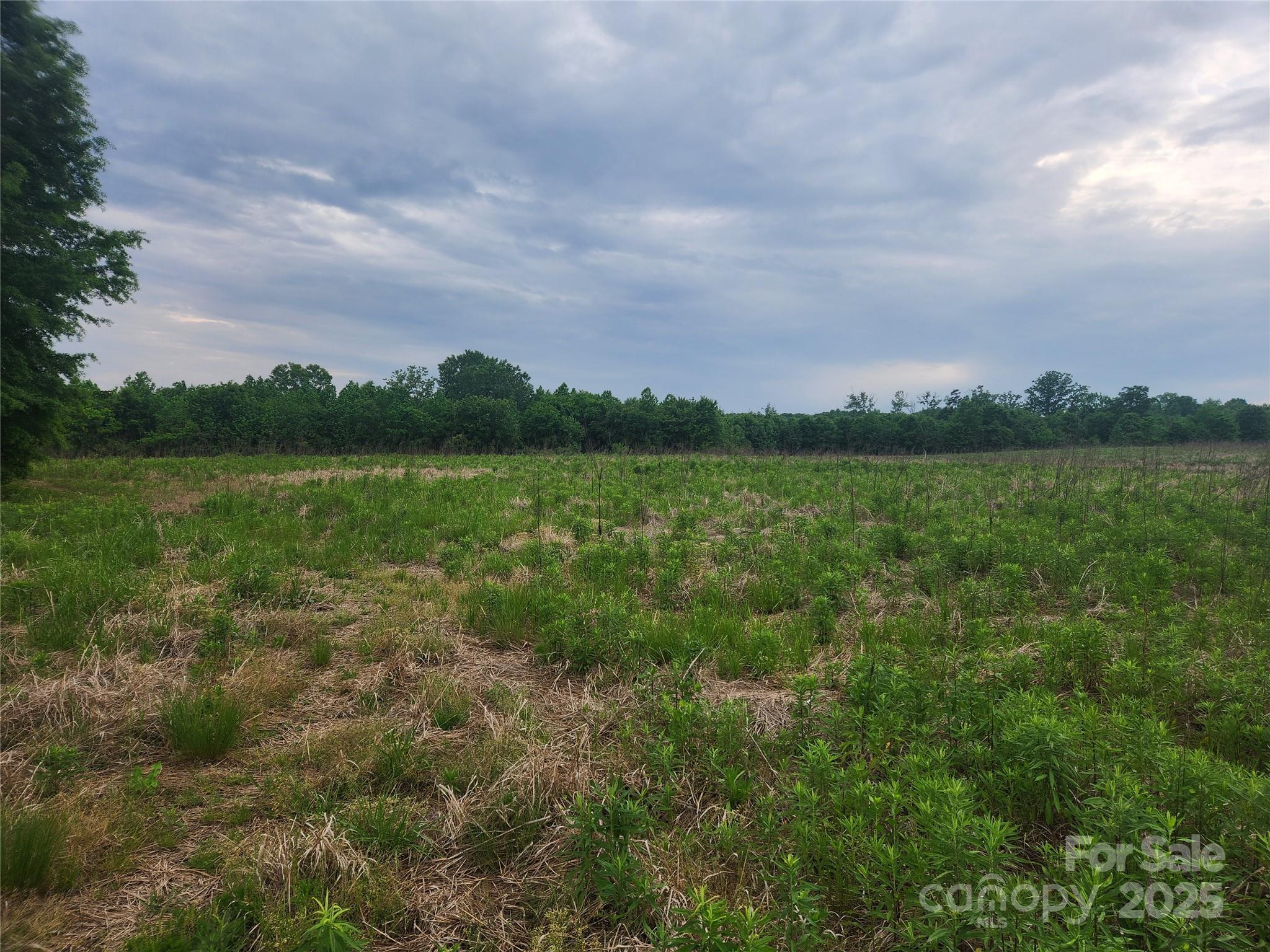 000 Winchester Road 2 Property Photo 11