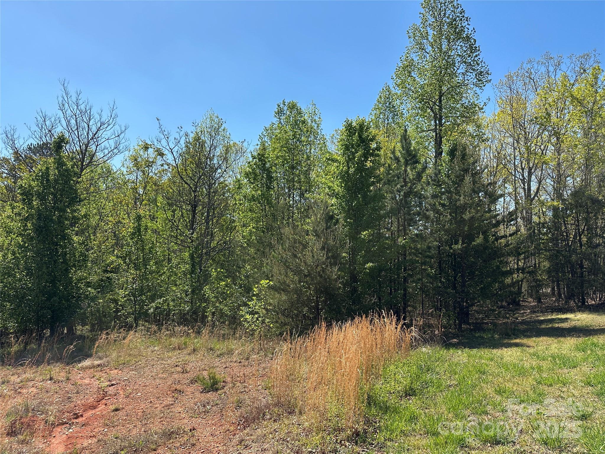 Lot 4 Celestial Drive Property Photo 2