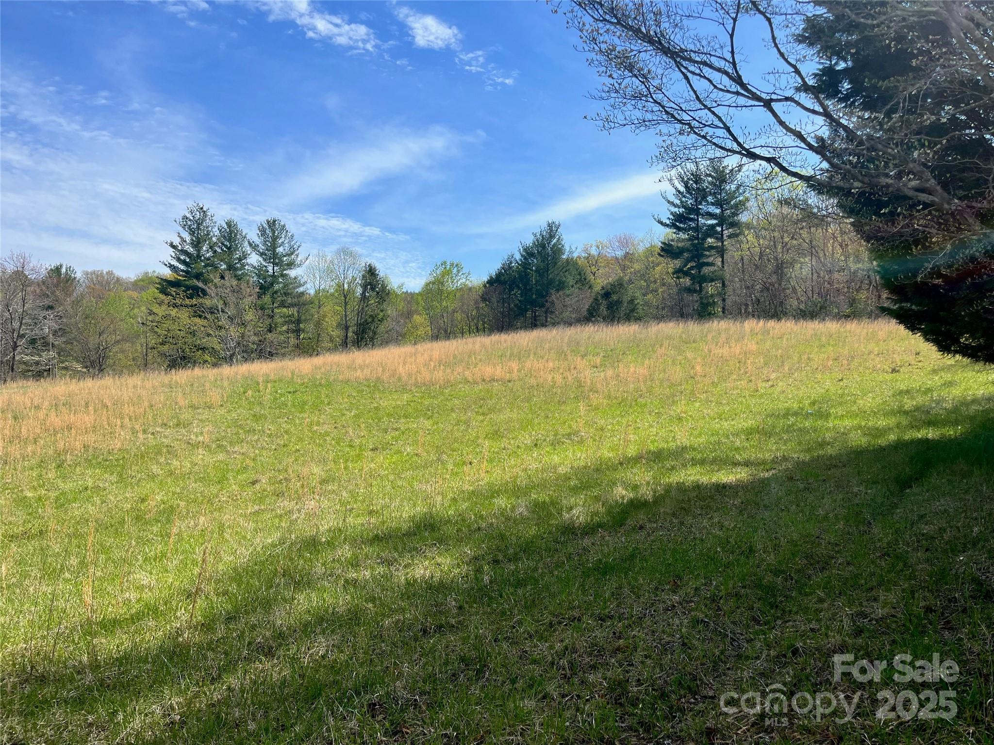 99999 Lollis Road Property Photo 3