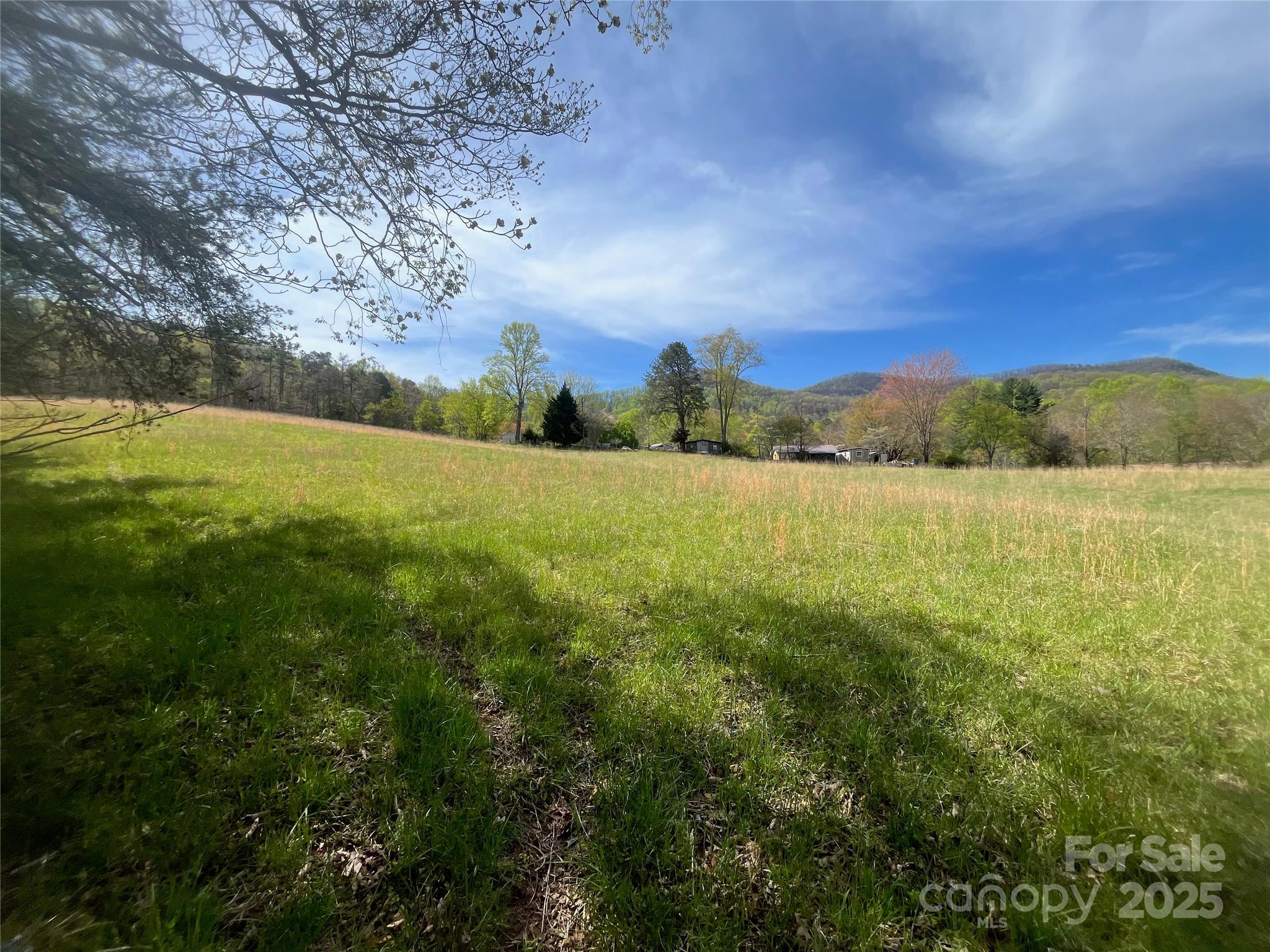 99999 Lollis Road Property Photo 12