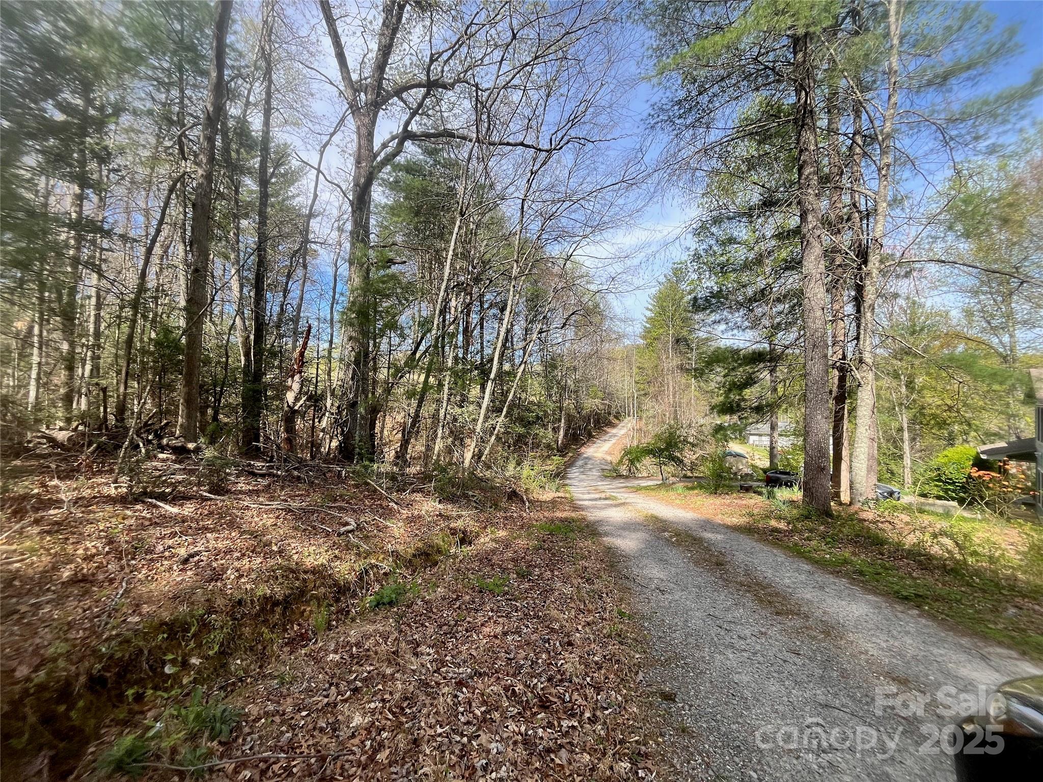 99999 Lollis Road Property Photo 16