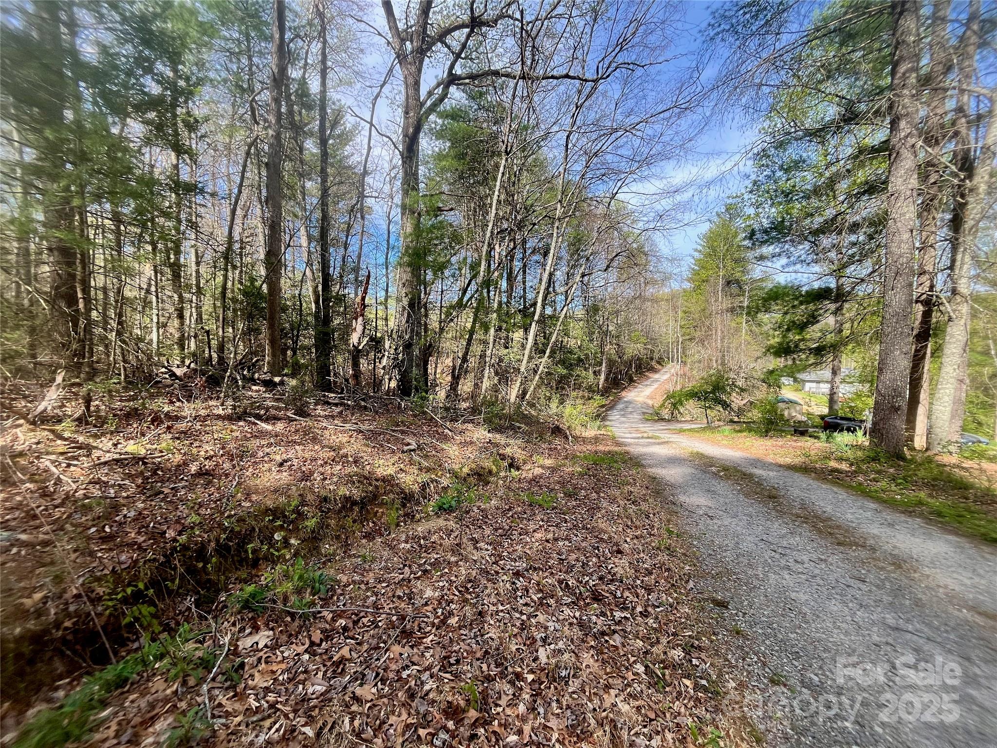 99999 Lollis Road Property Photo 17
