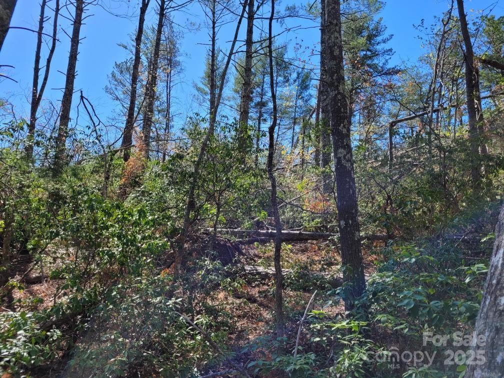 119 Fox Ridge Trail Property Photo 5