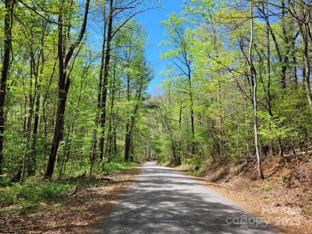 119 Fox Ridge Trail Property Photo 7