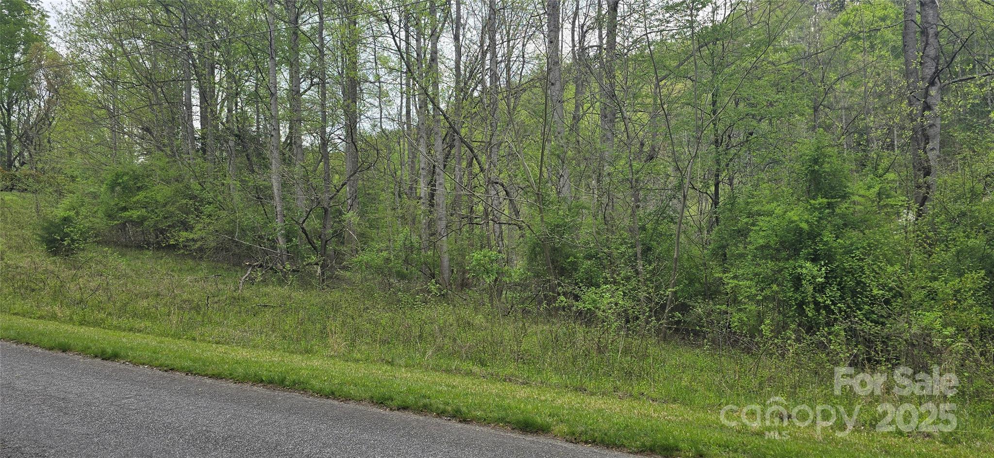 000 Indian Trail Property Photo 6