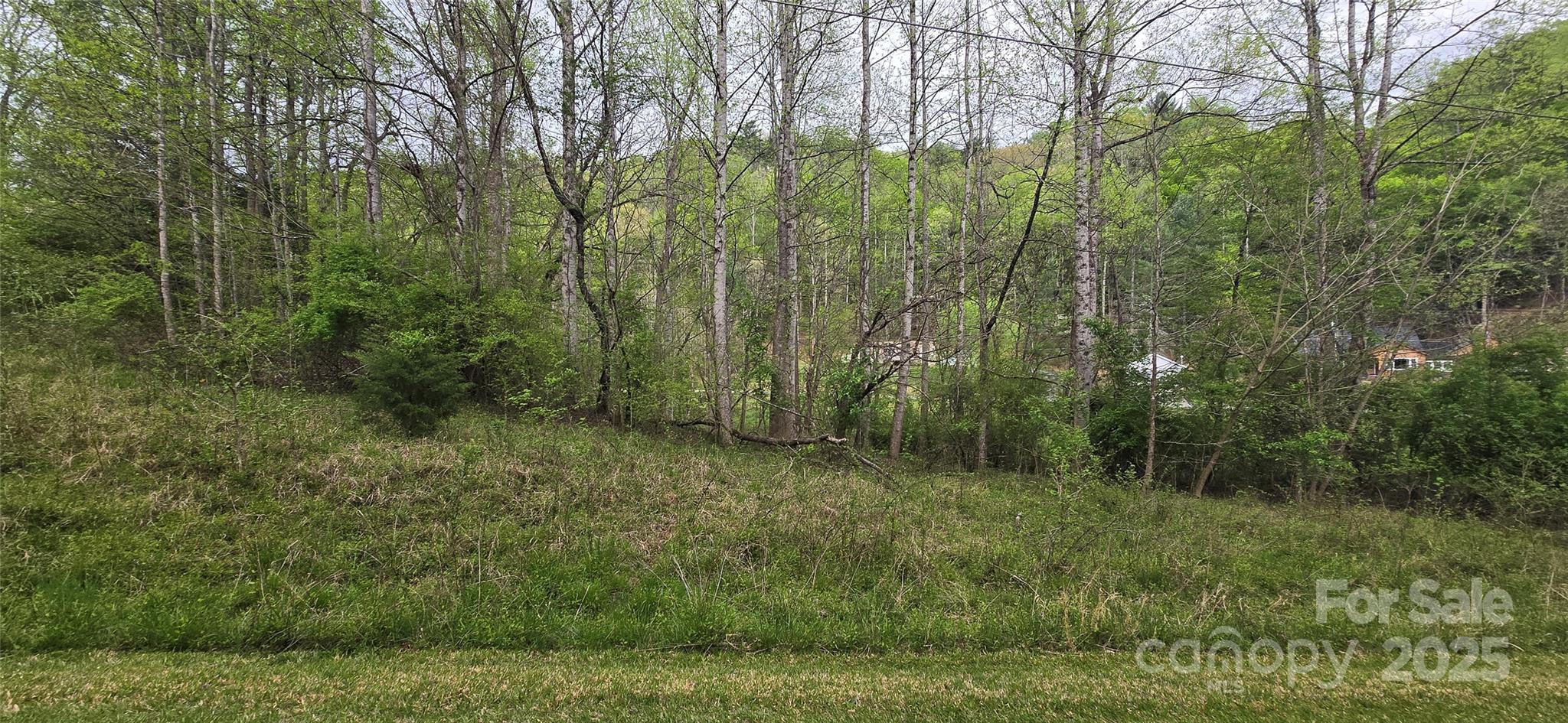 000 Indian Trail Property Photo 9